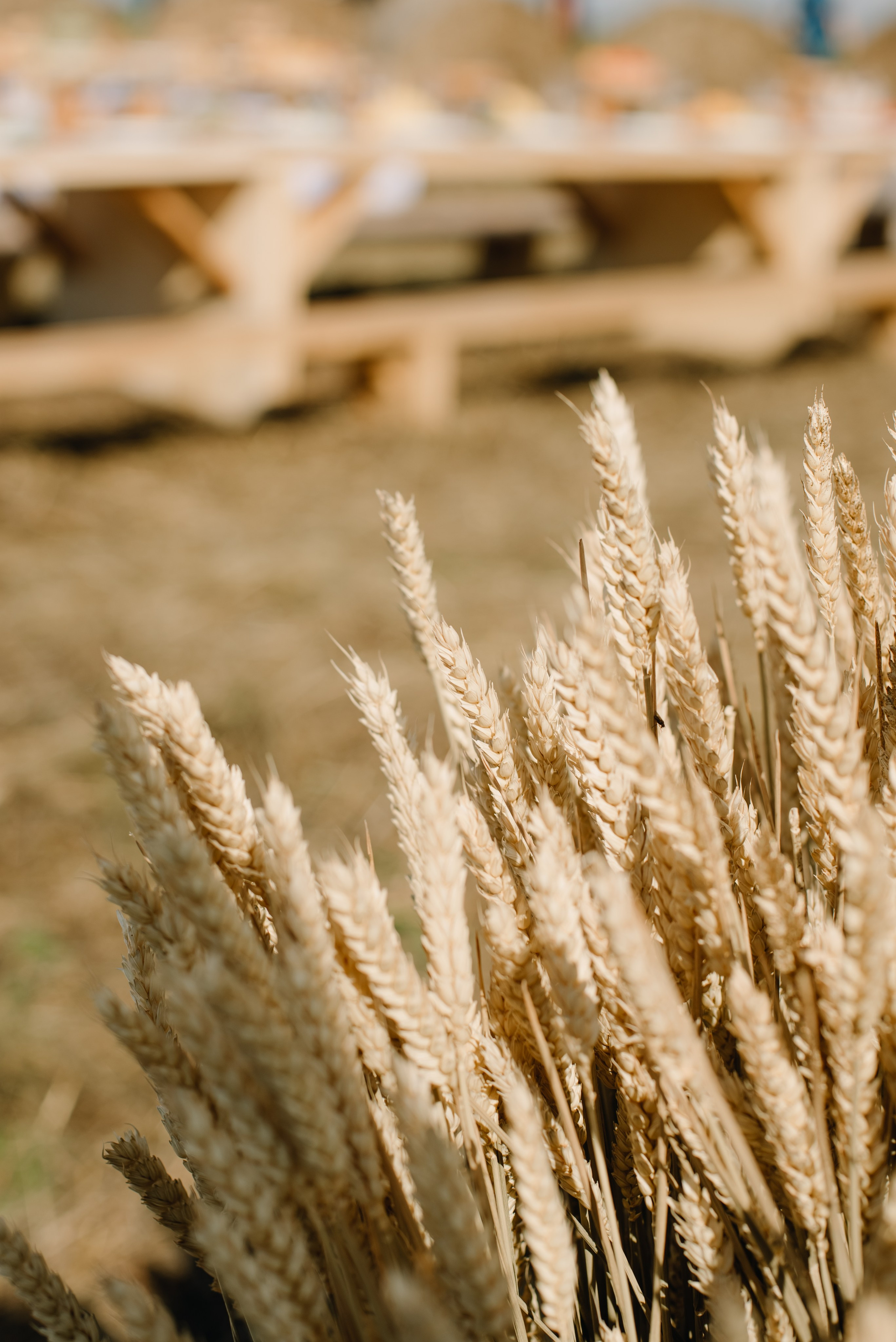 Семейный День. Главная