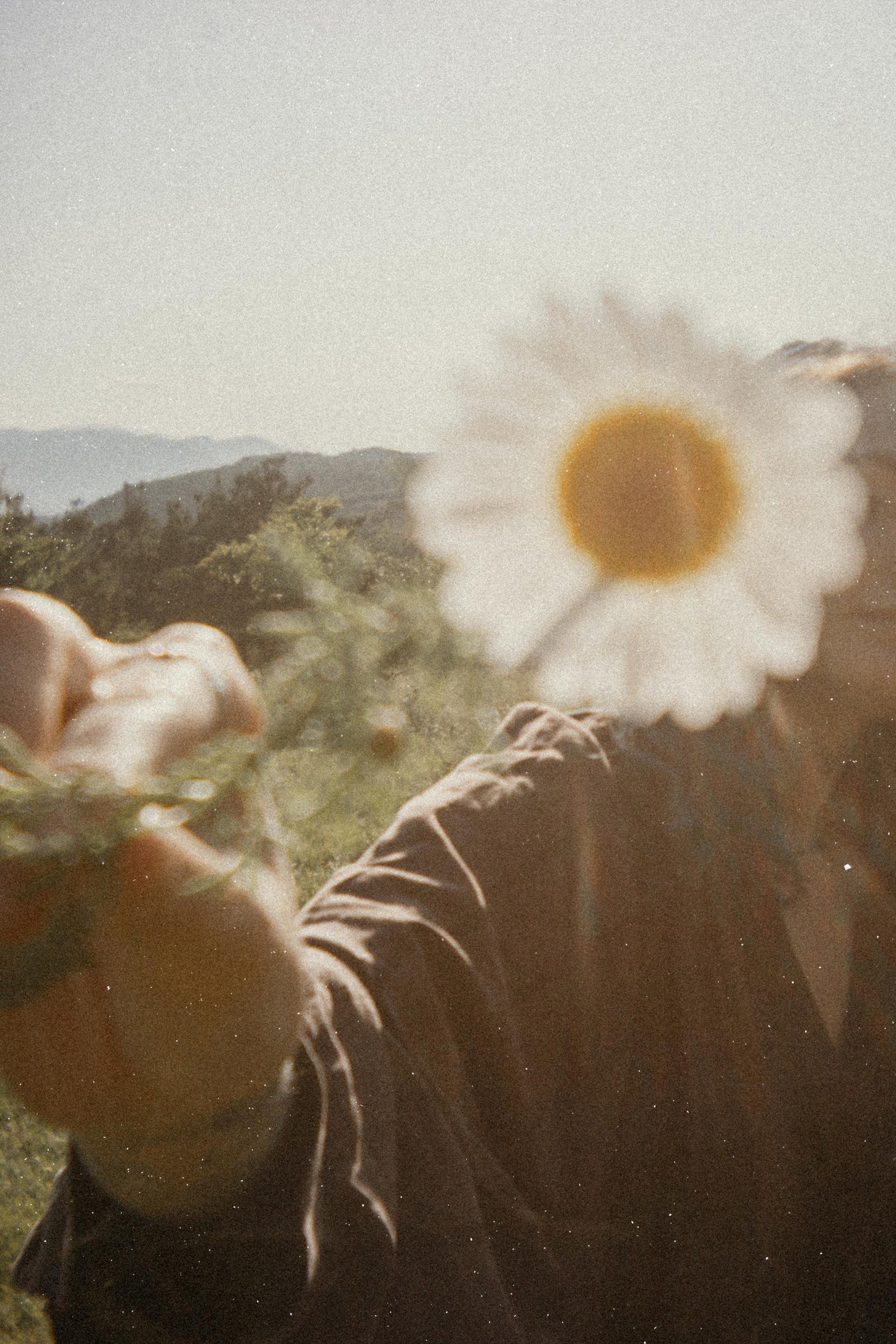 Альбина. Фотограф Тбилиси Саша Мороз
