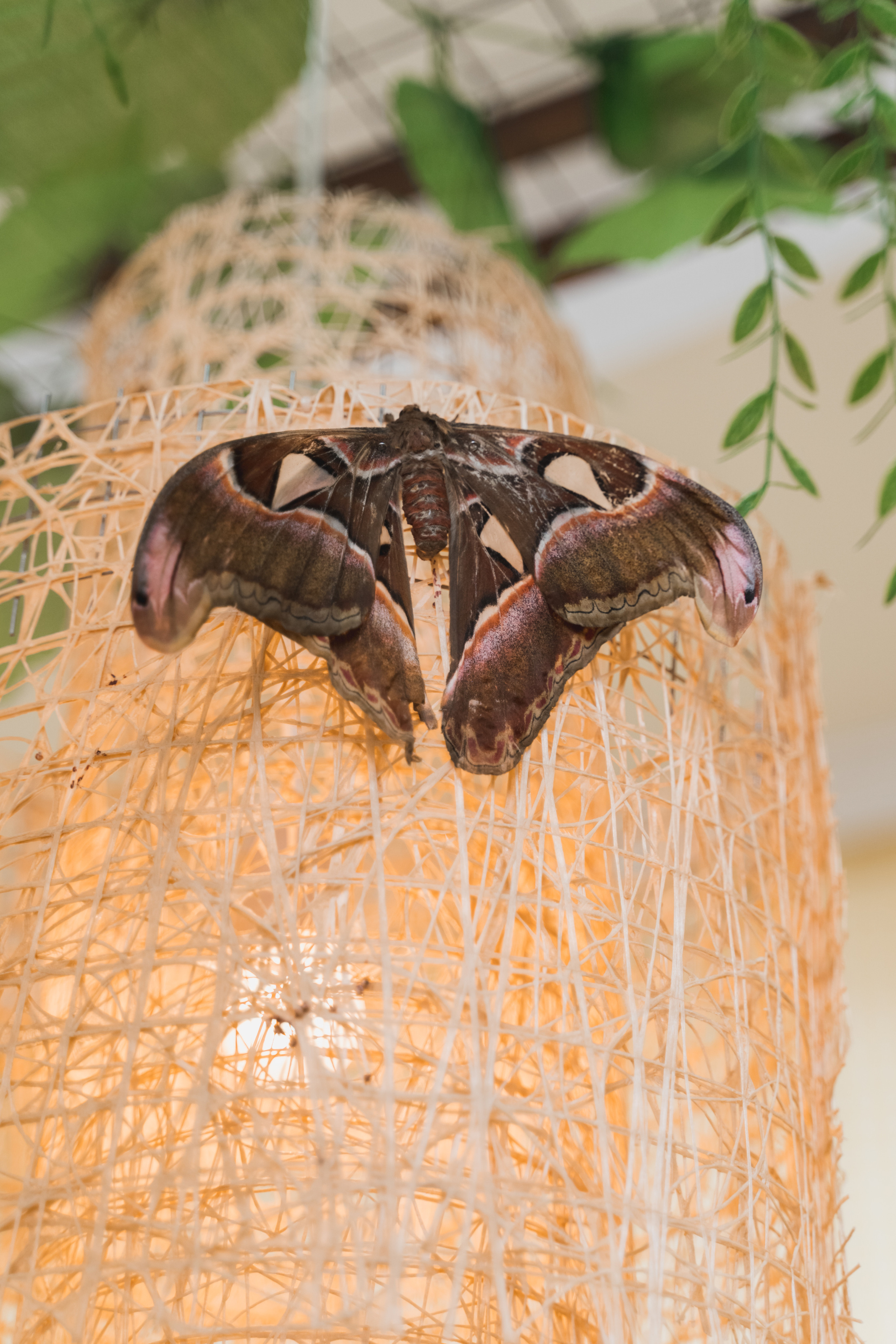 Детский праздник красноярск. Семейный и детский фотограф Красноярск Наталья Сташкевич
