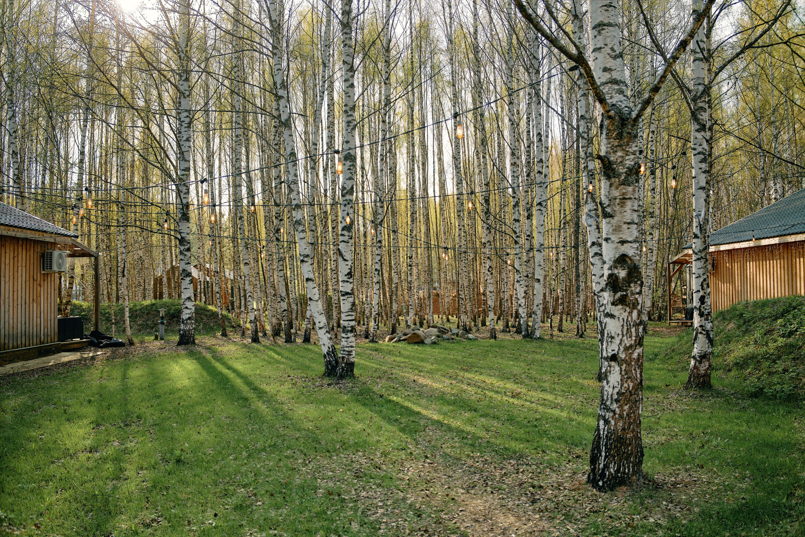 Бутик-отель Поле летом. Профессиональный Фотограф во Владимире, в Москве и в Суздале — Полина Романычева