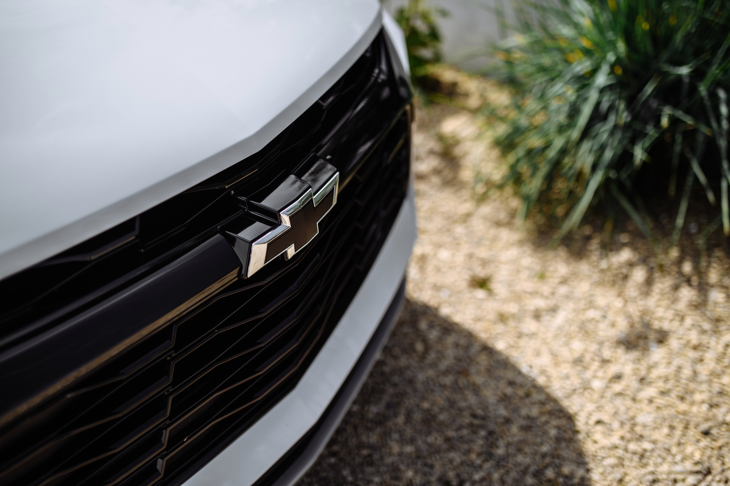 Дмитрий и Елизавета. Фотограф Кирилл Верт