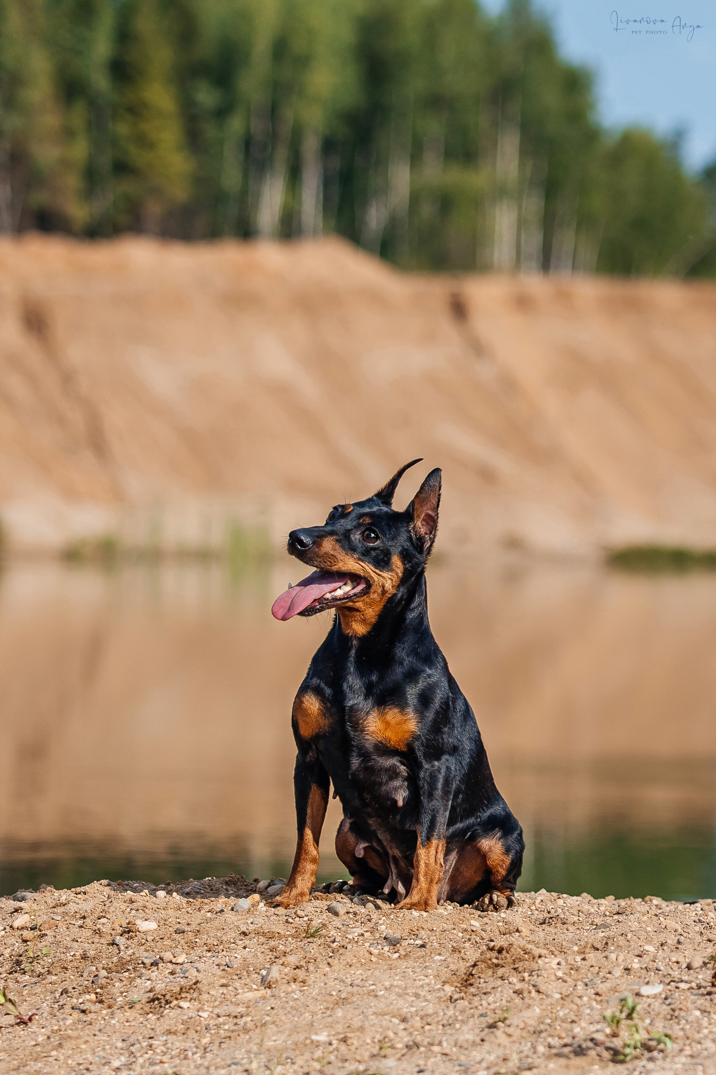 Троицкий карьер. Фотограф анималист Аня Ливанова | Рыбинск