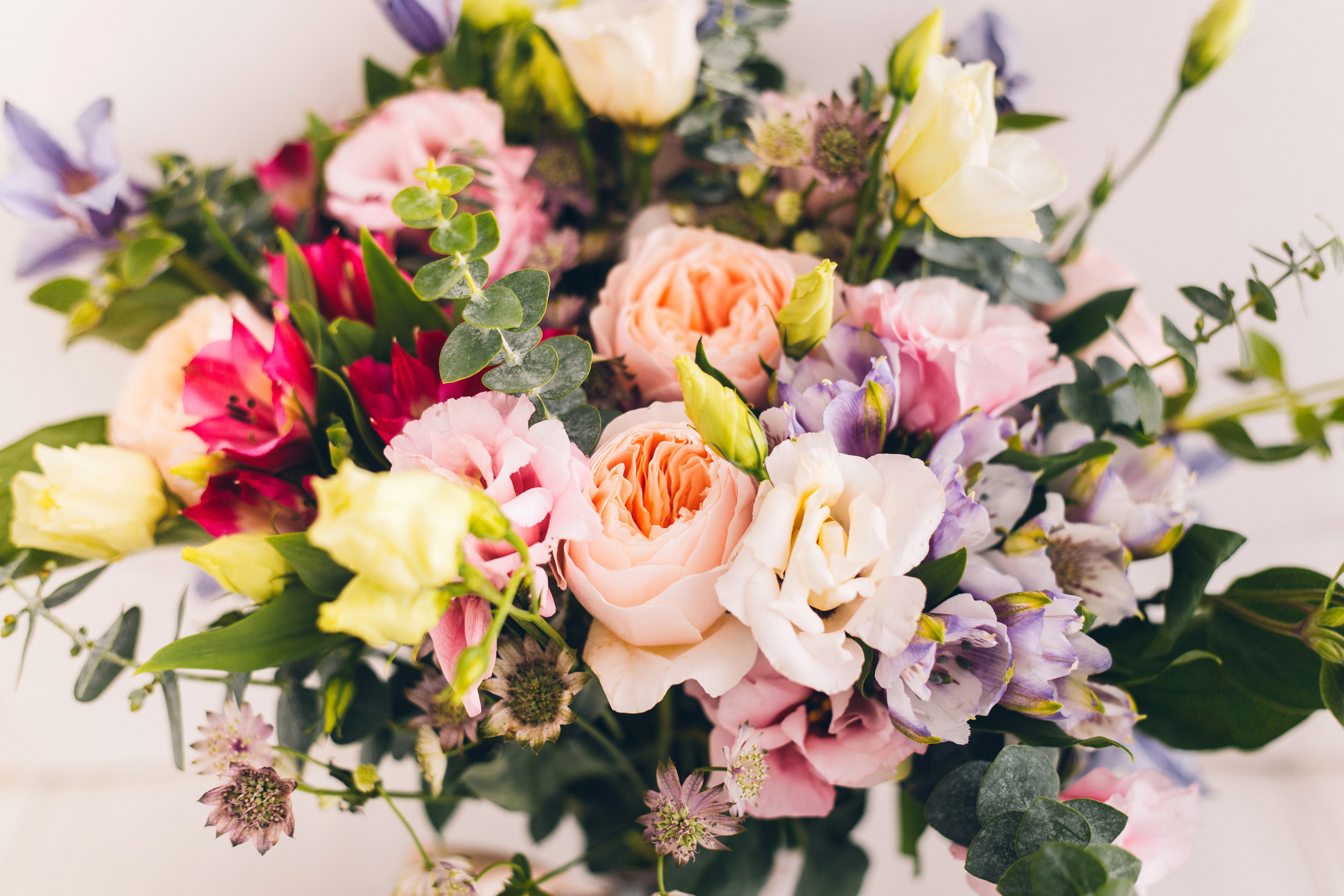 Свадебный фотограф Сургут. Свадебный фотограф в Сургуте Наталья Иванова