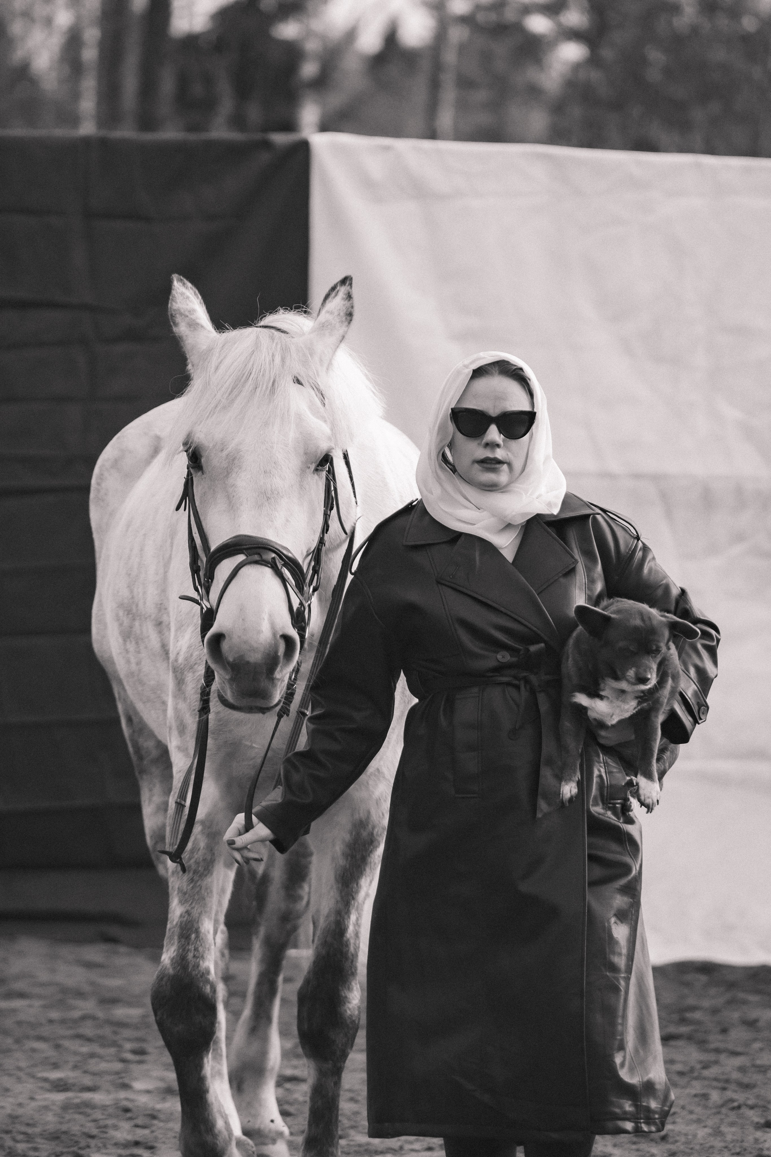 Проект DEFILE. Конный фотограф в Санкт-Петербурге Анна Лебедева