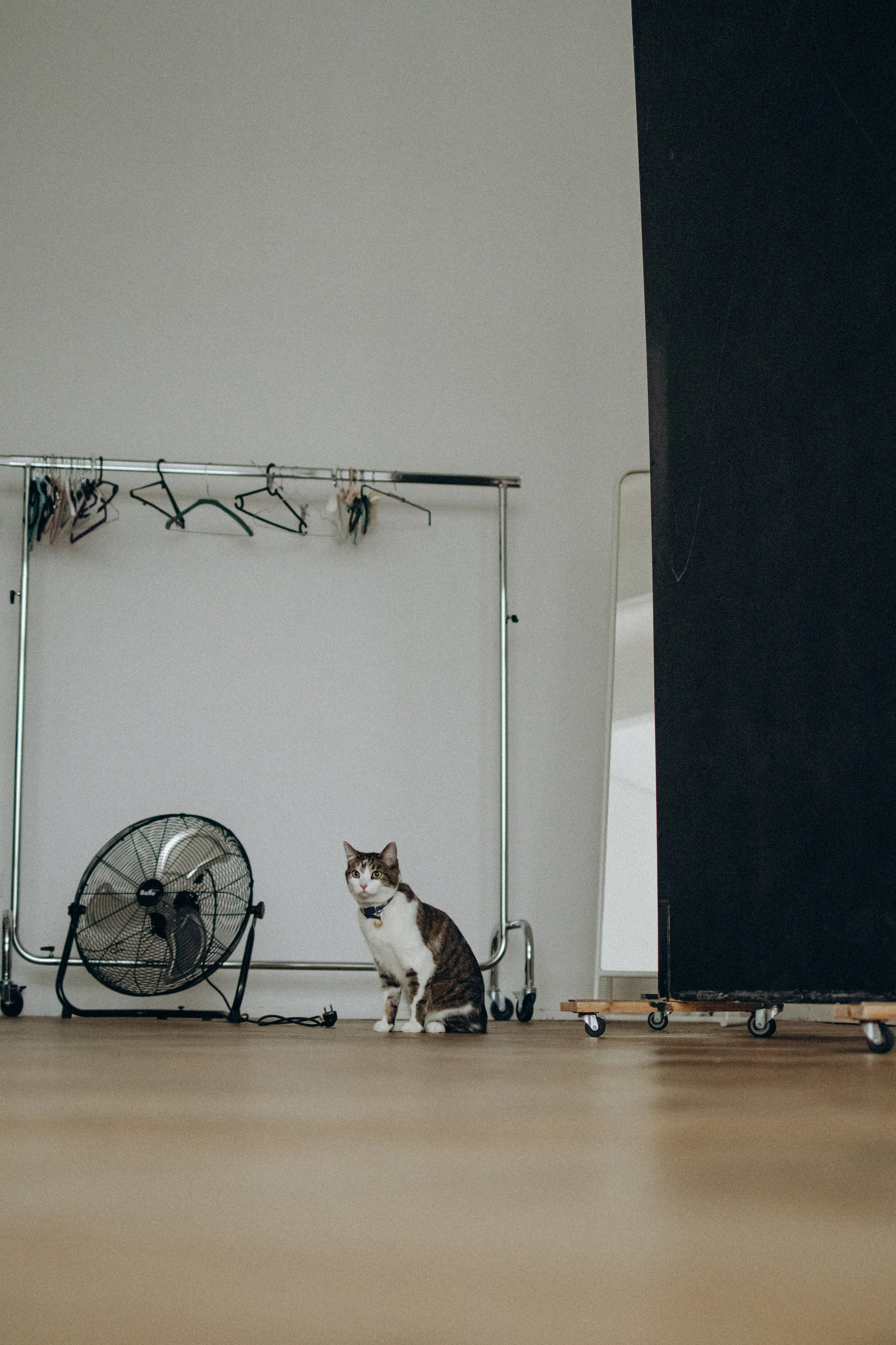 Ксюша и Яша. Фотораф — анималист Мария Шистка