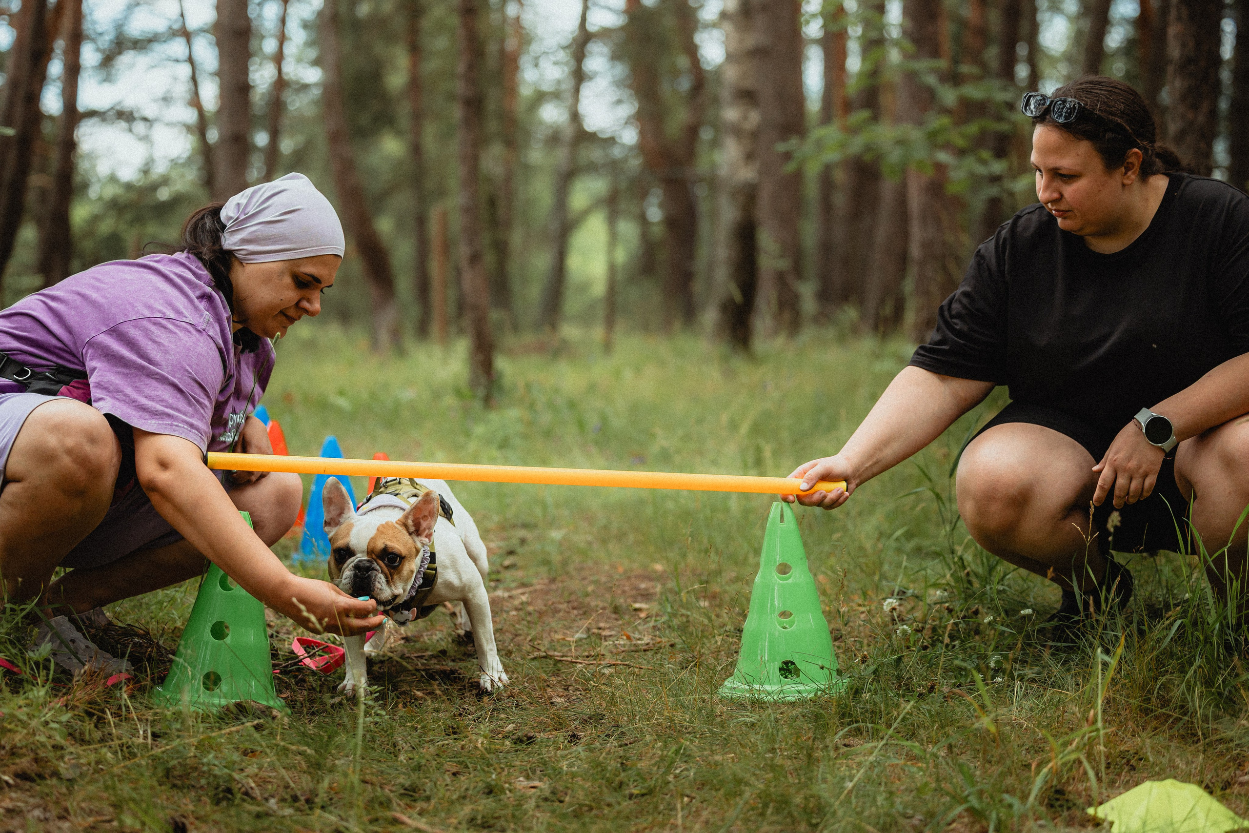 Выездной дог-тренинг от школы «Шерсть имею»