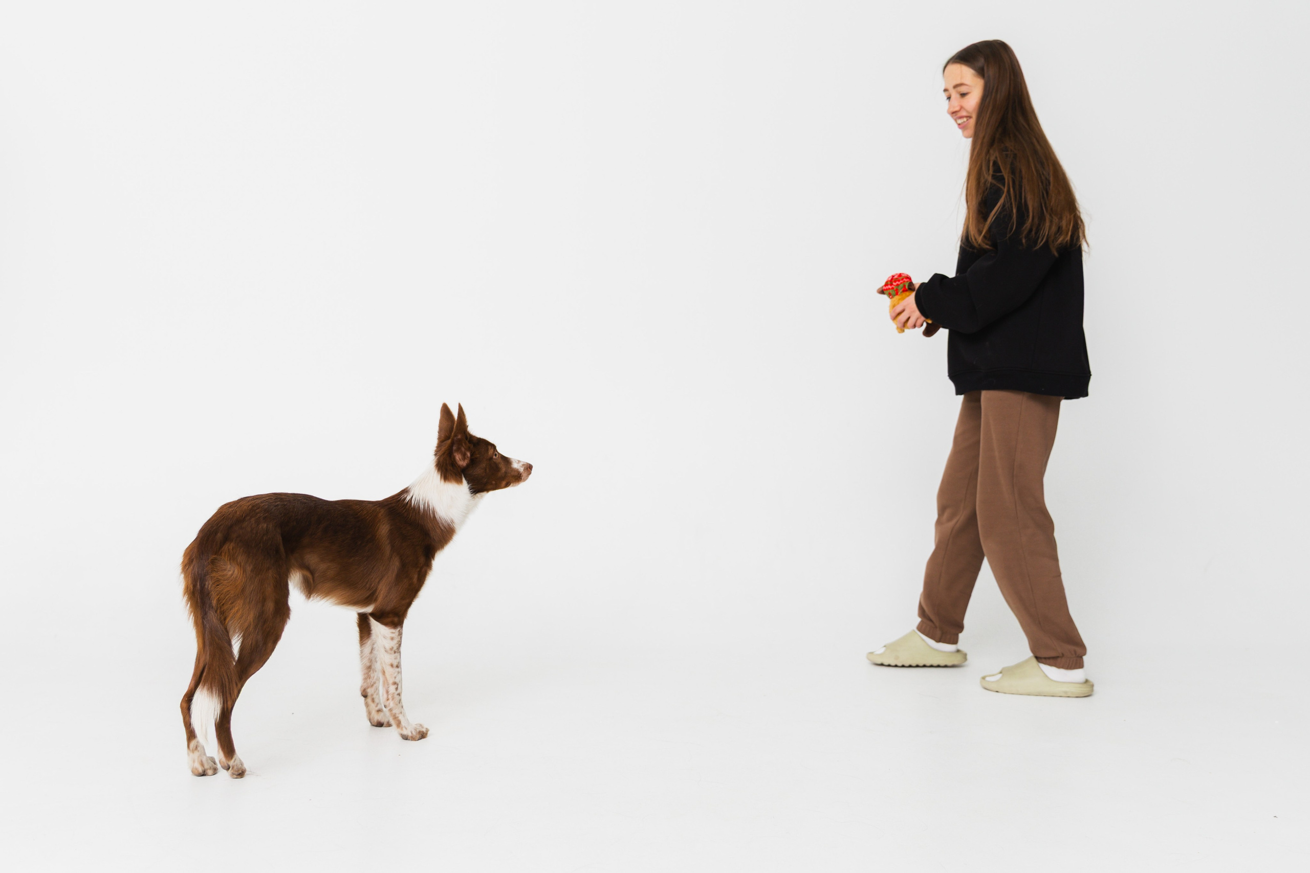 Воркшоп по импульсному свету