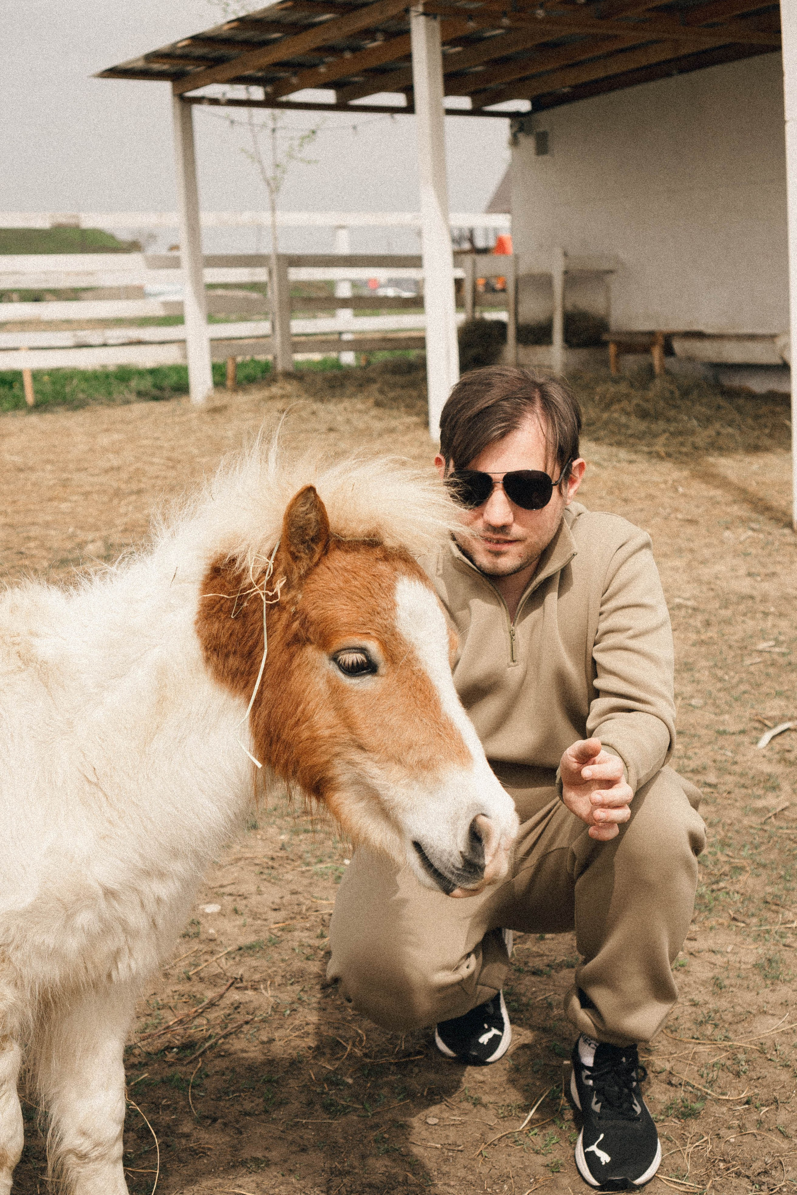 Ферма Альпак. Профессиональный фотограф, Санкт-Петербург — Виктория Богомолова