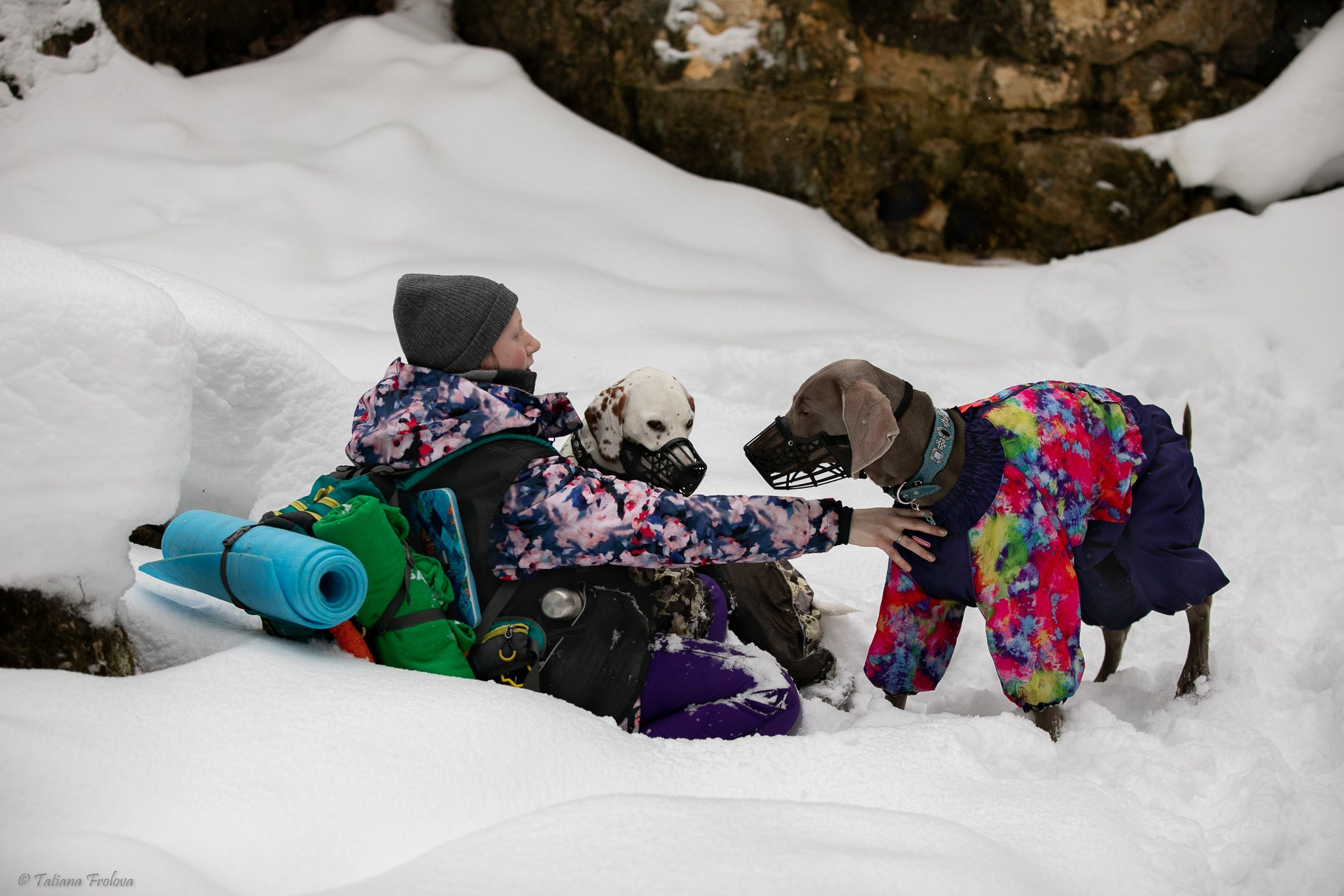 Фотосъемка похода с собаками в Московской области. Фотограф-анималист в Москве и Московской области Татьяна Фролова