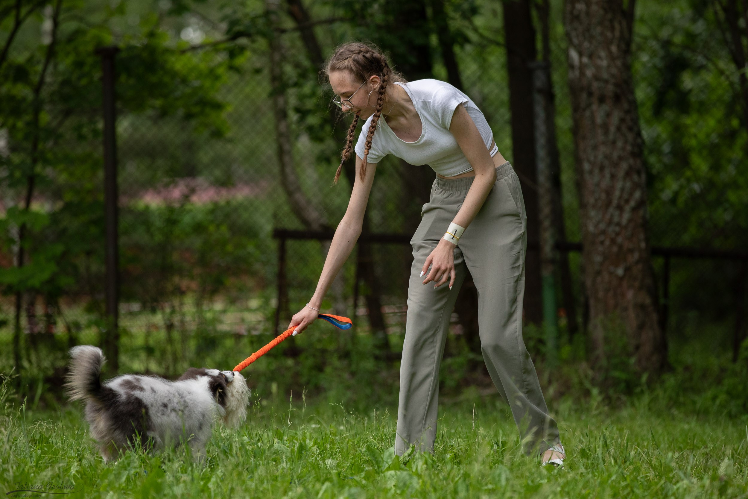 Репортаж с выводки молодняка колли/шелти в Ясенево. Фотограф-анималист в Москве и Московской области Татьяна Фролова