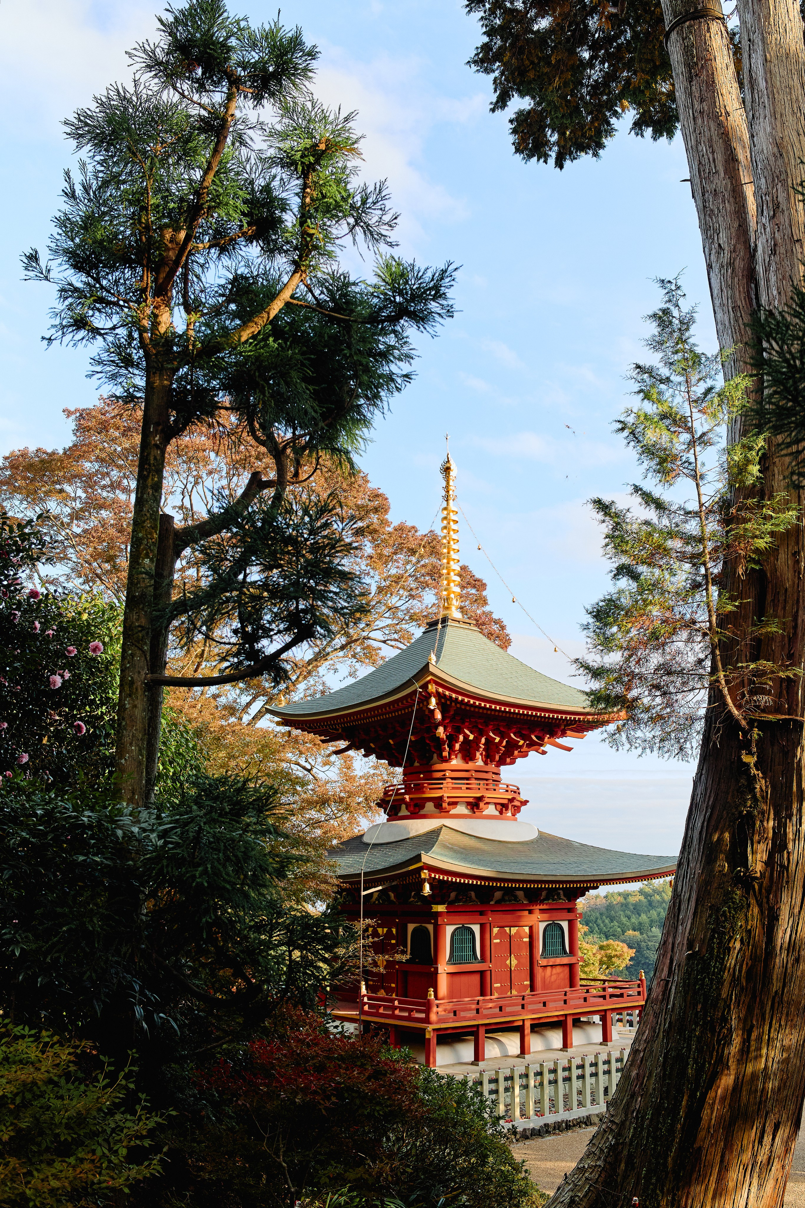 Япония. Профессиональный Фотограф во Владимире, в Москве и в Суздале — Полина Романычева