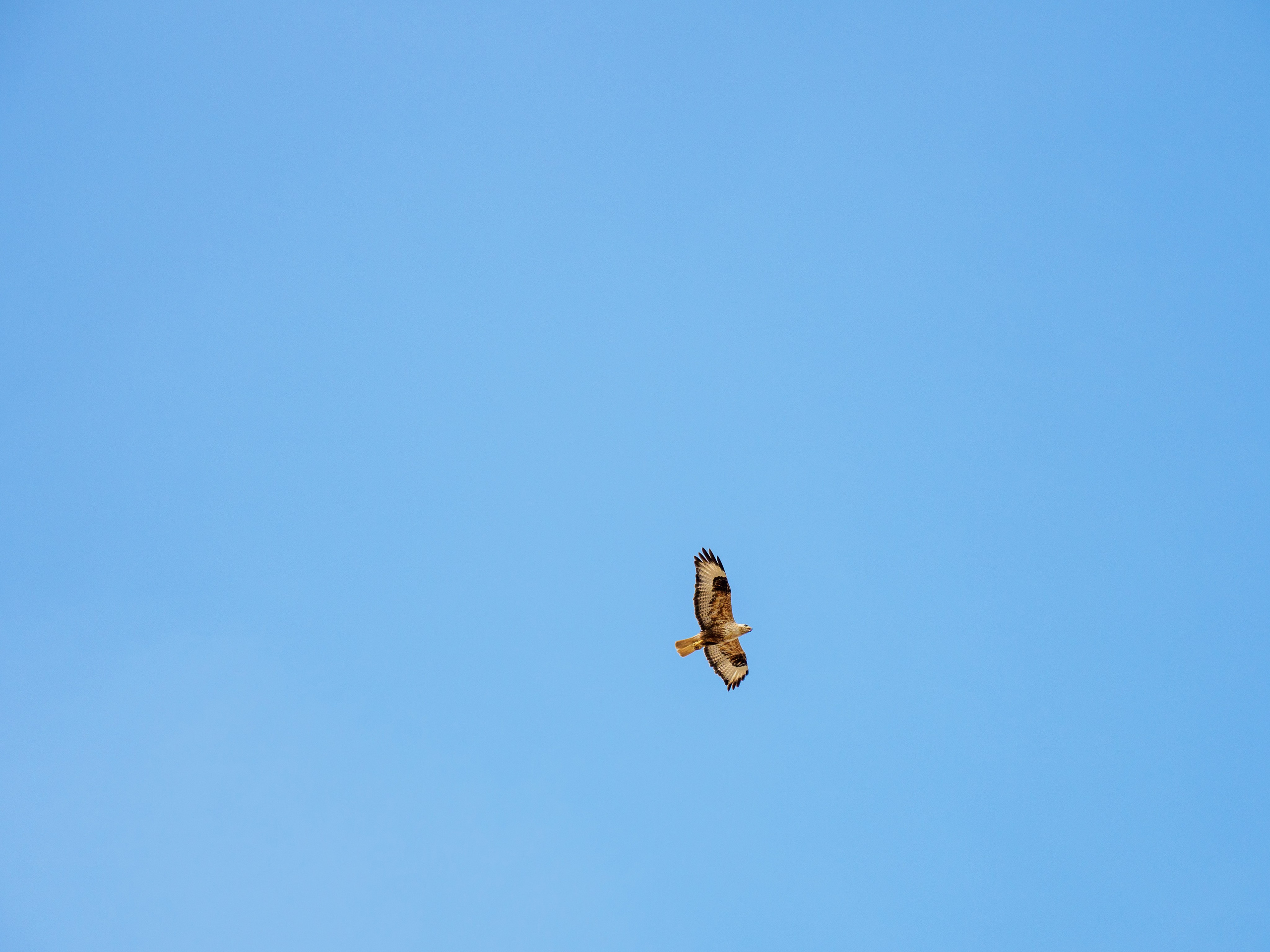 Эльтон 2024. Творческие сьемки