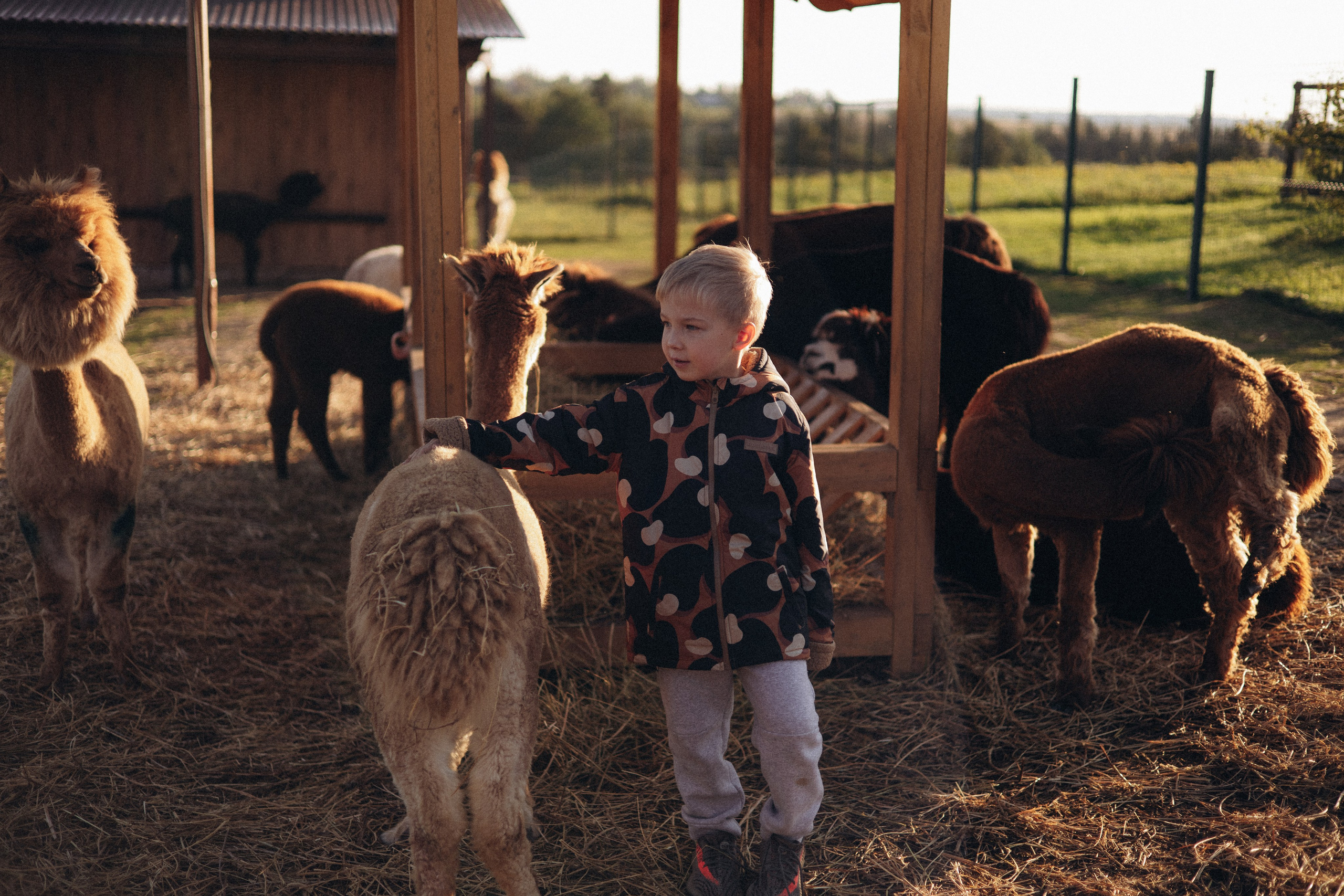 Про семью. Семейный фотограф в Москве