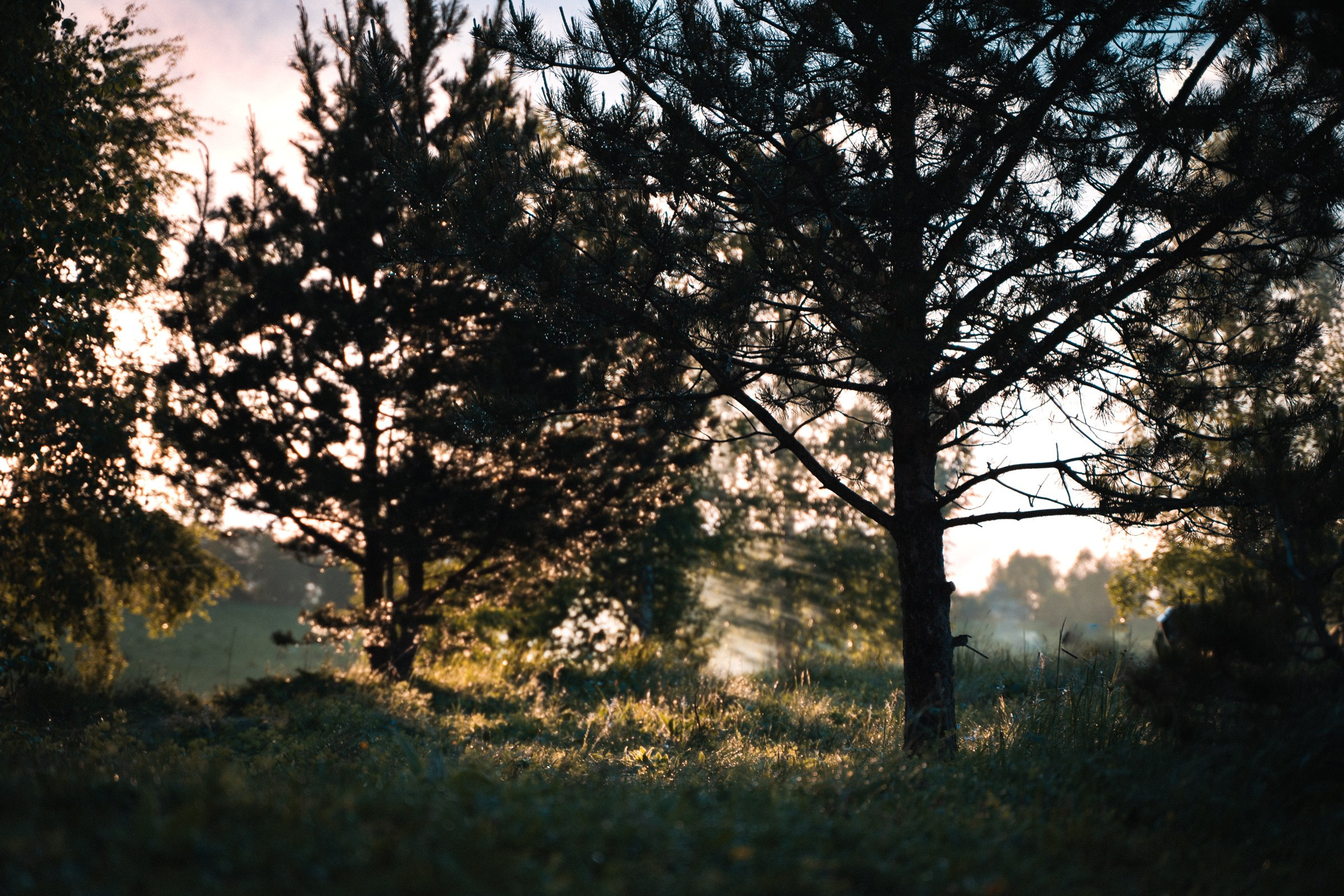 Адыгея. Большой Тхач. Фотограф в поход и восхождение на Эльбрус Игорь Косарев