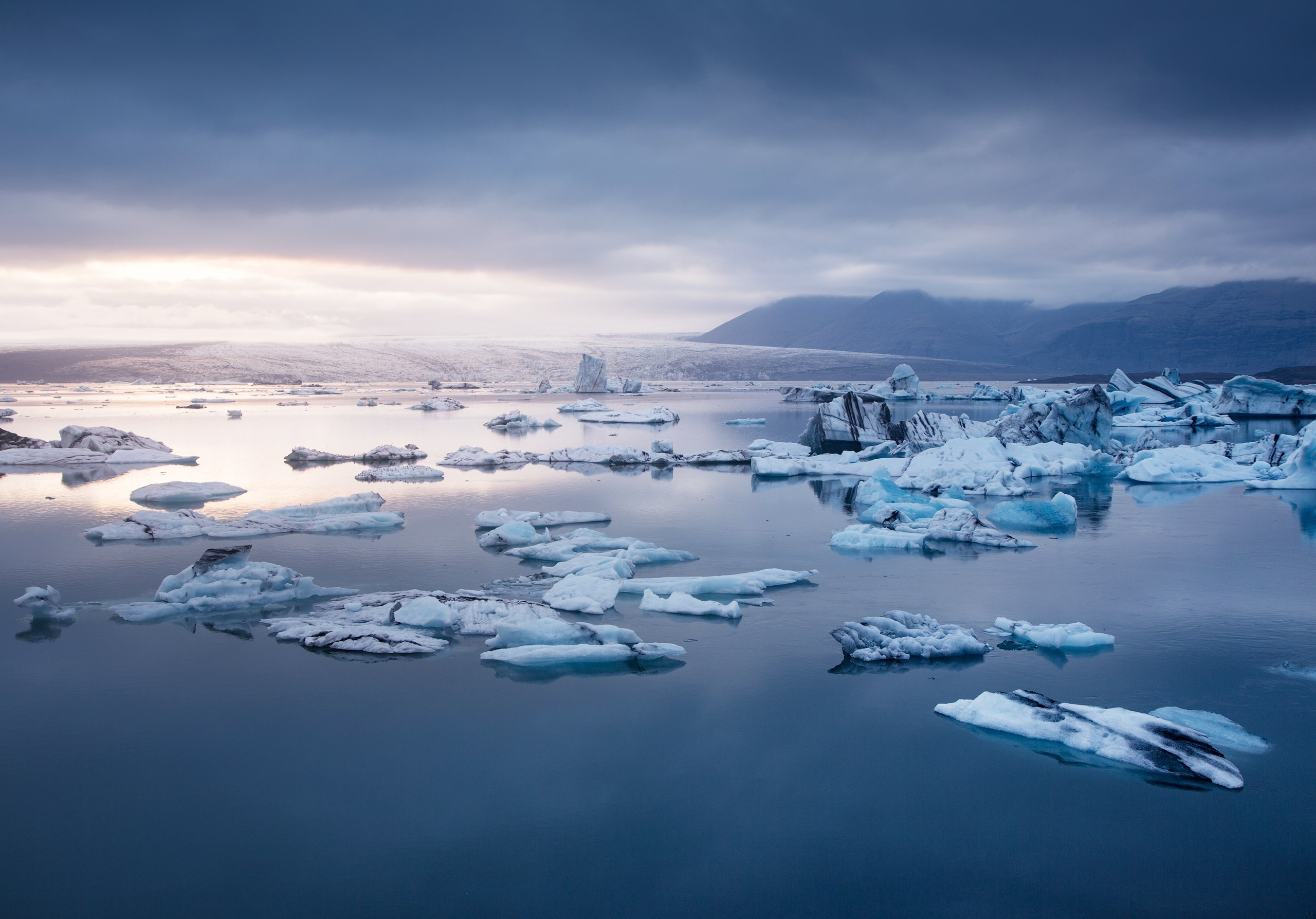 Фотограф Владимир Медведев
