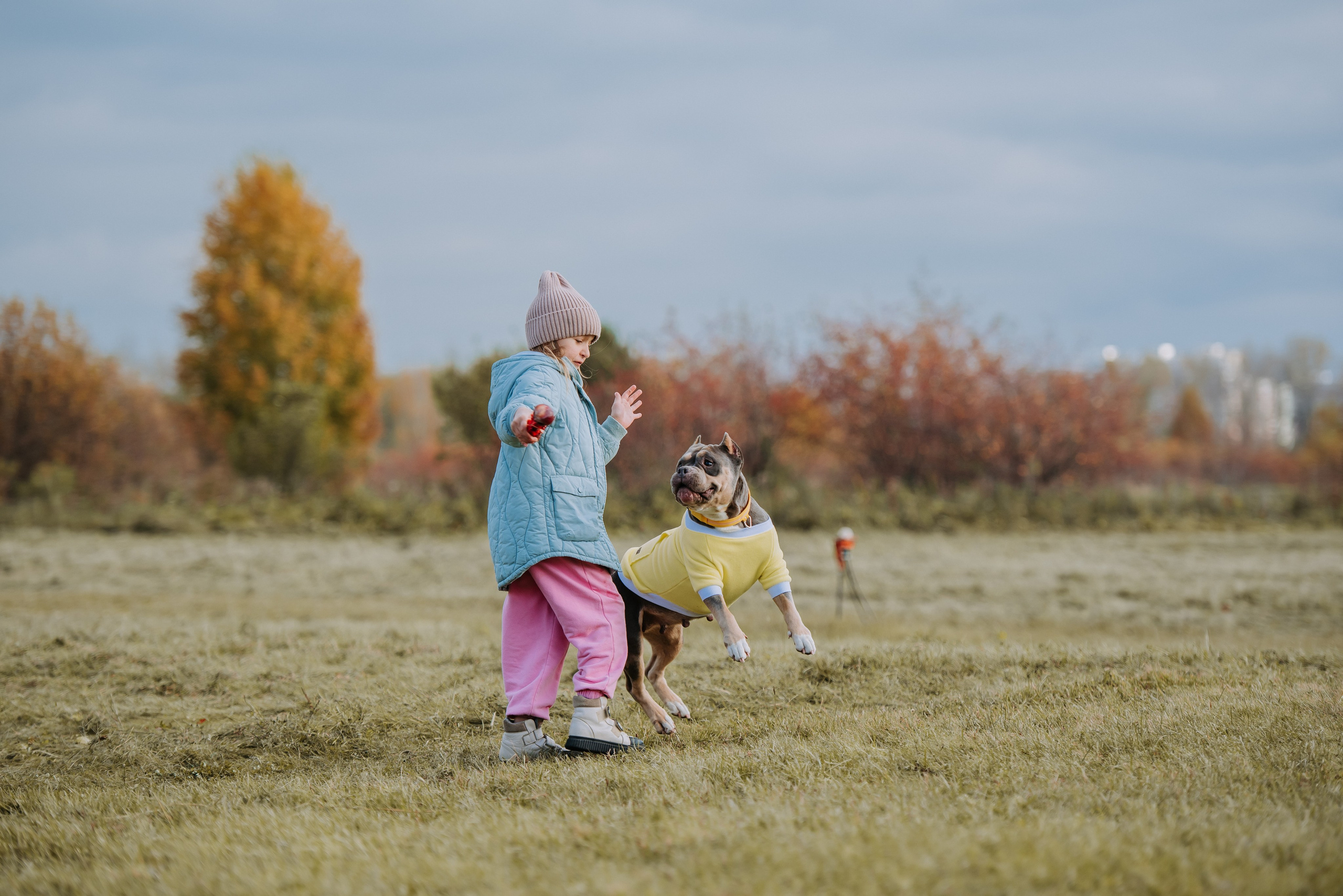 Фотопрогулка с питомцами. Фотограф Диана Оленина Красноярск / Братск