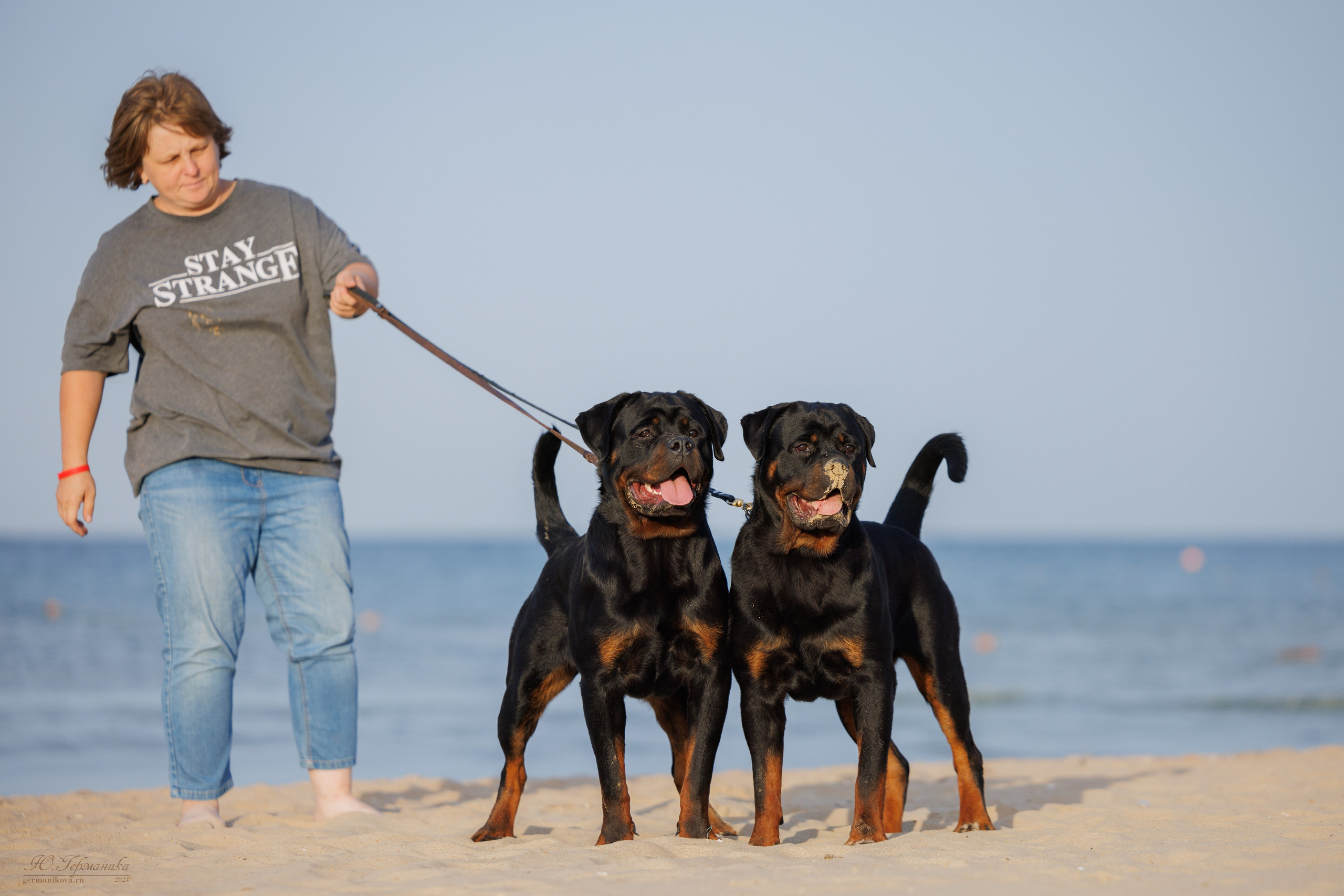 Свободная съемка. Фотограф-анималист Юлия Германика