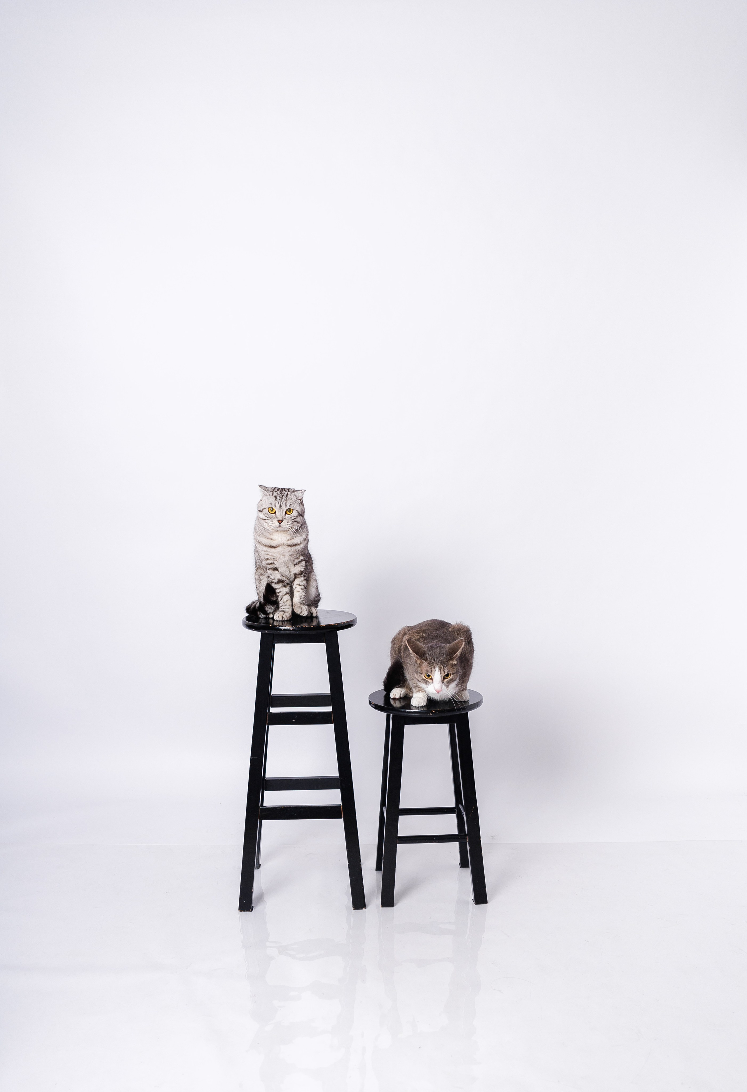 Портфолио. Услуги