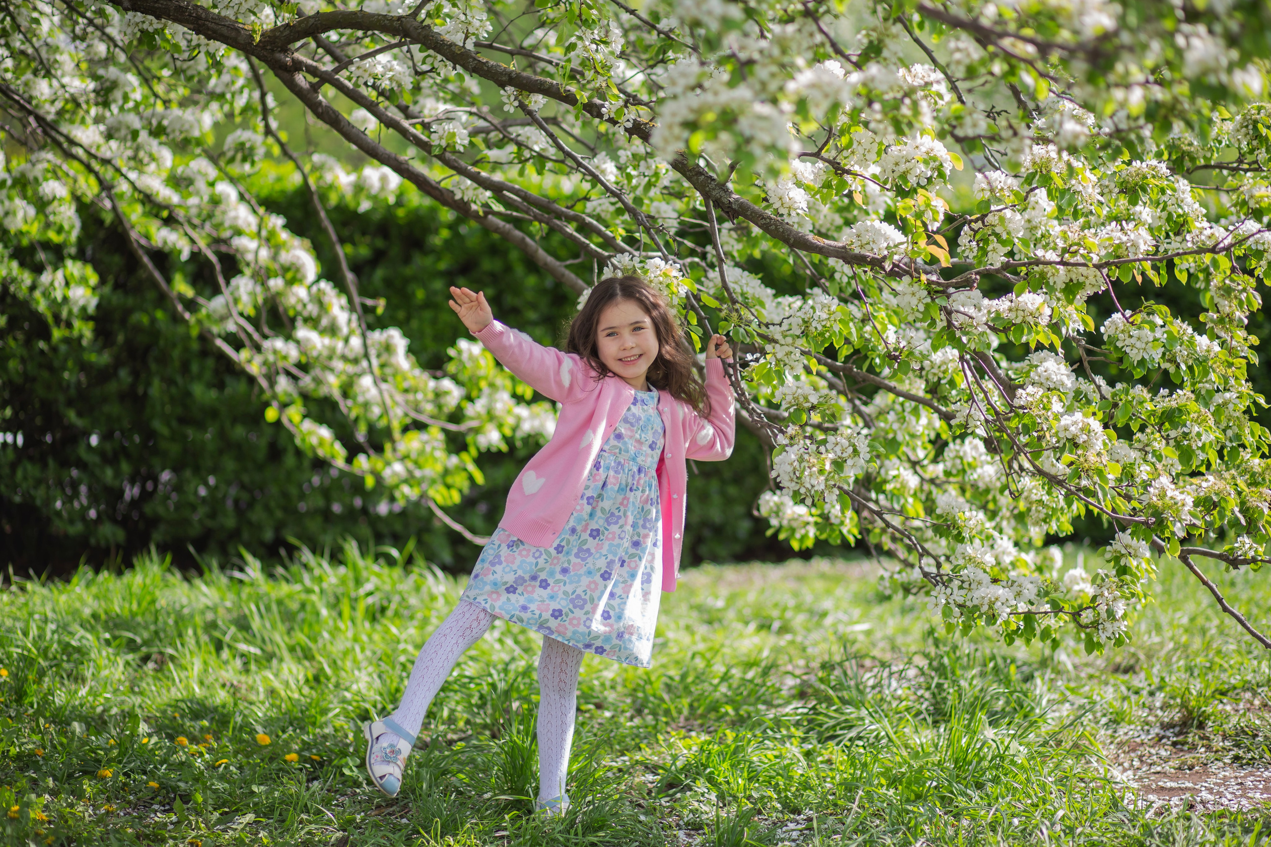 Цветение…. Семейный и детский фотограф в Москве и МО — Александра
