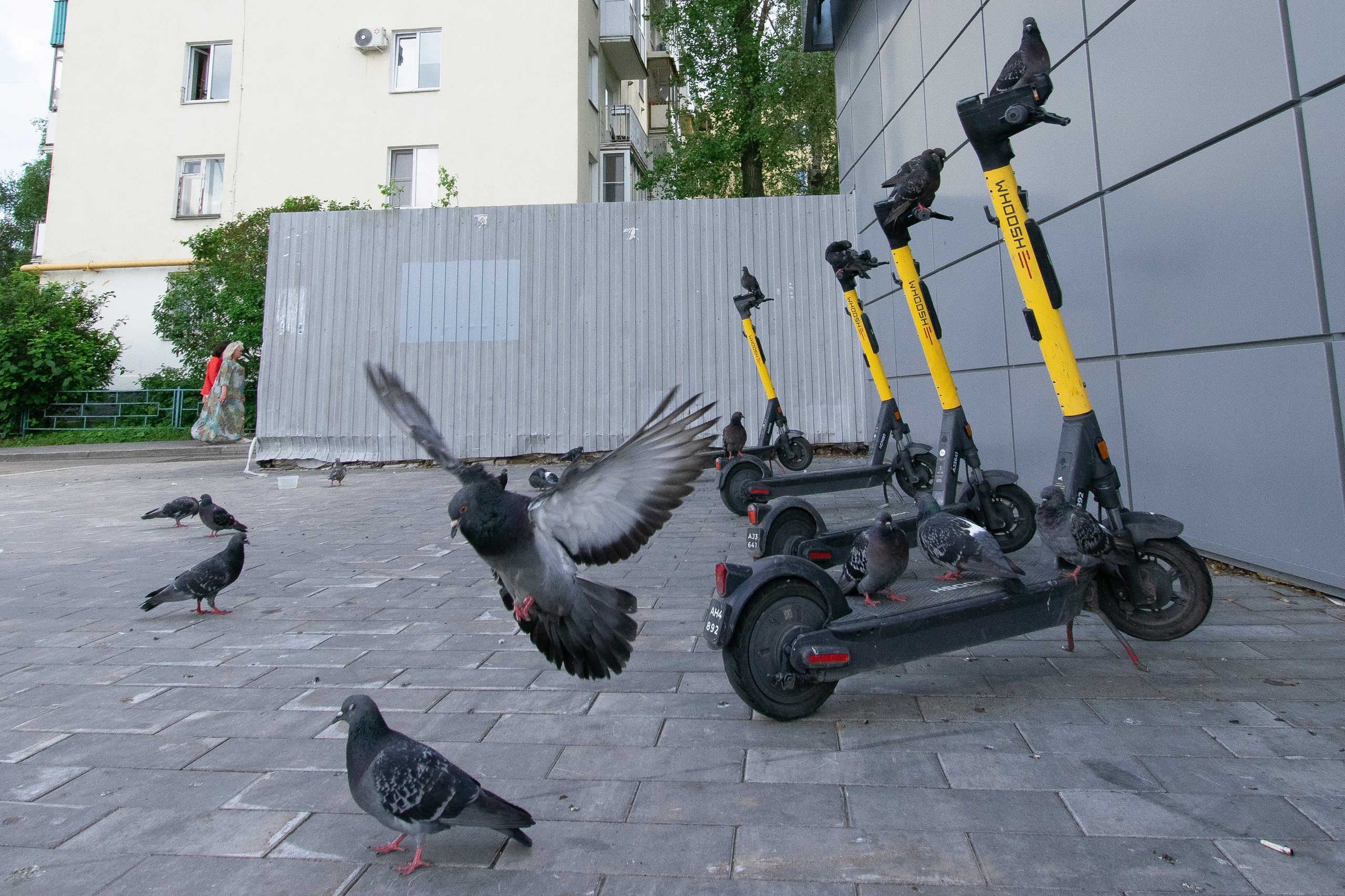 РГ. Самокаты. Iliya Soldatkin Fine Art Photography