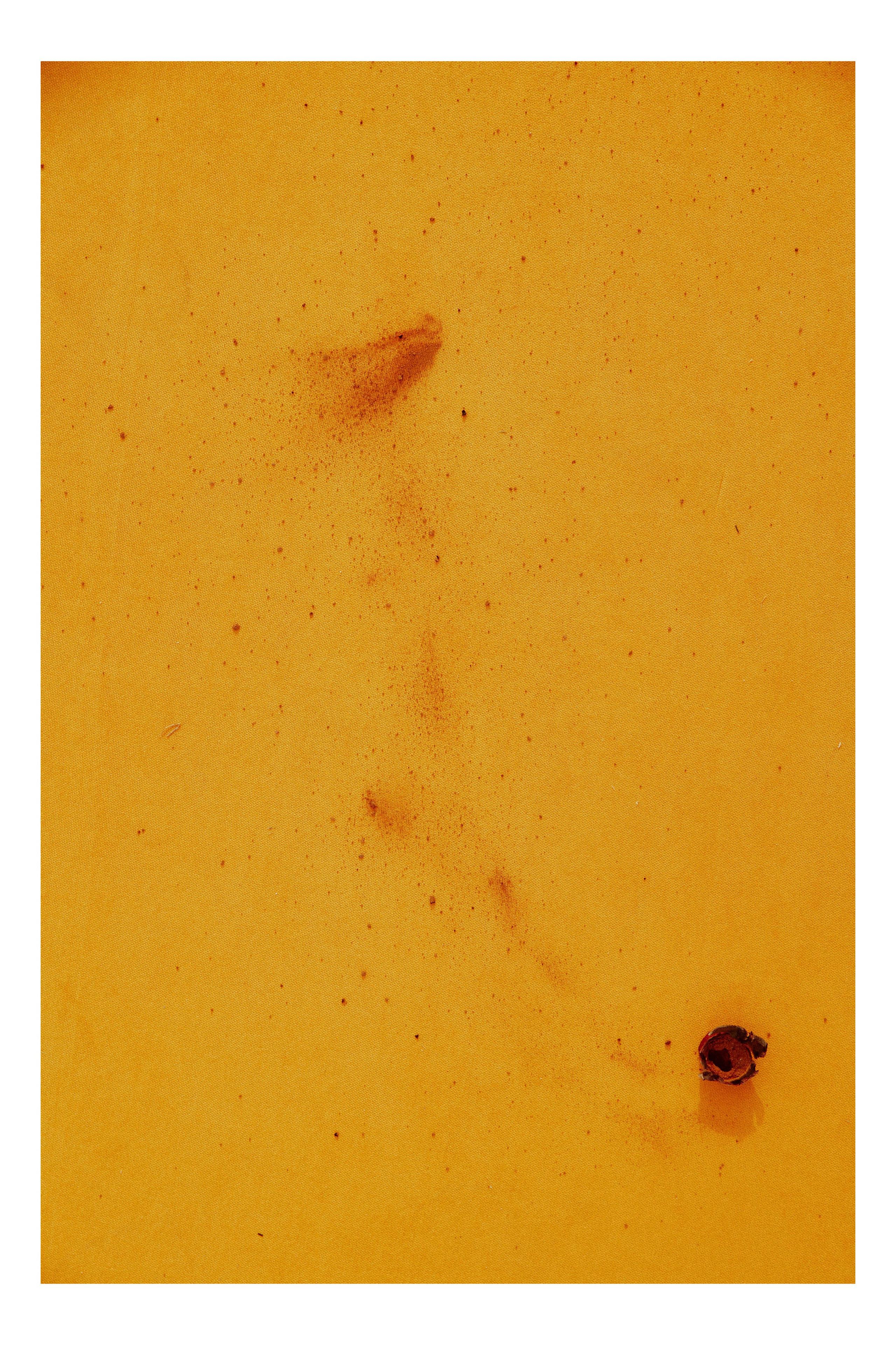 AMORE DA CINEMA. Дмитрий Мазуркевич: Профессиональный Репортажный Фотограф