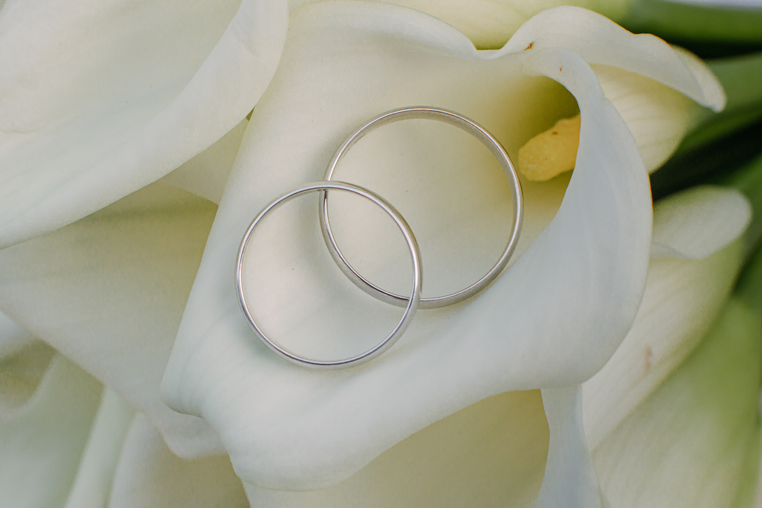 Ярослав и Анастасия. Фотограф Новороссийск