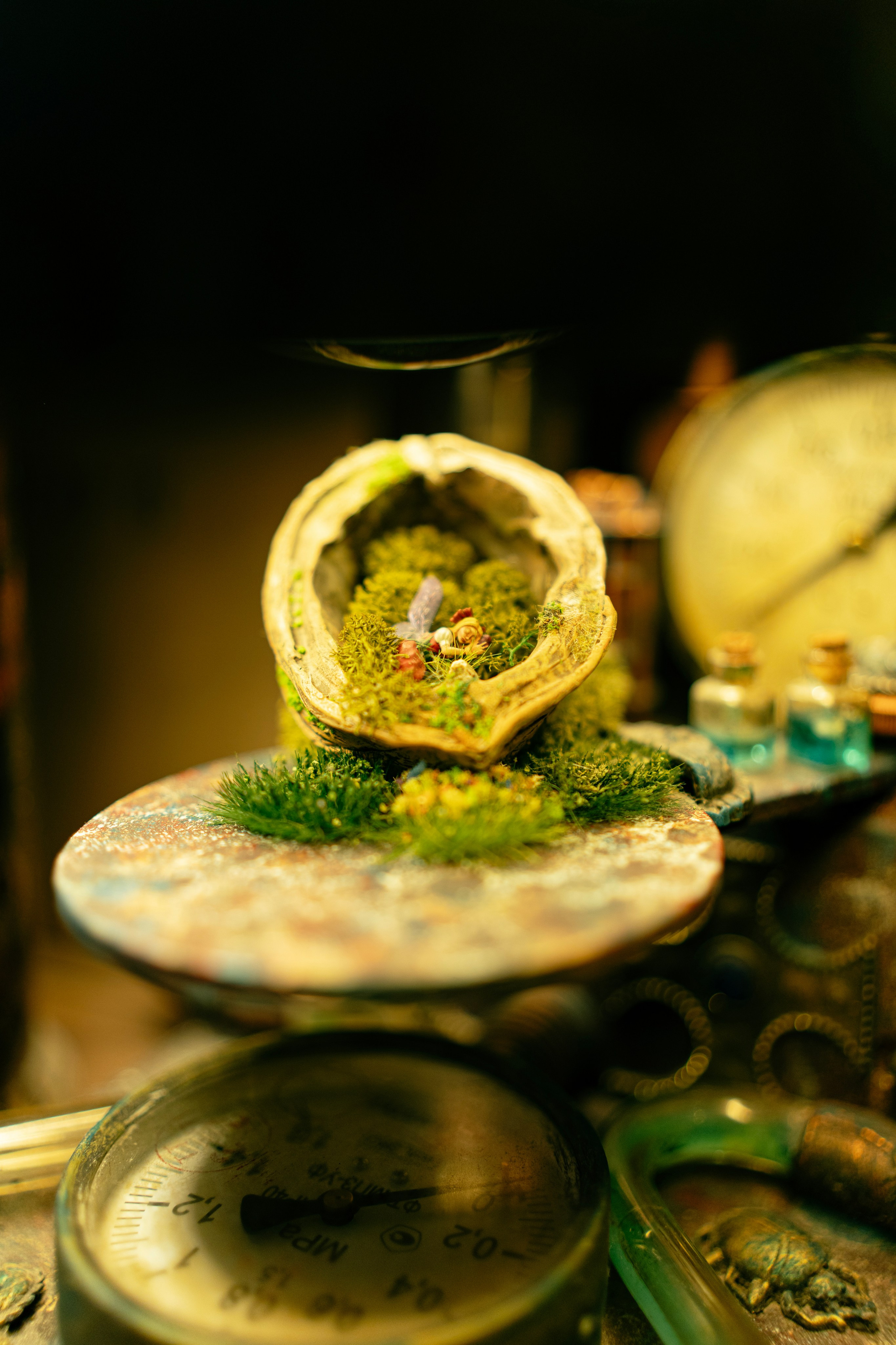 Небылица. Баев Дмитрий — фотограф из СПБ