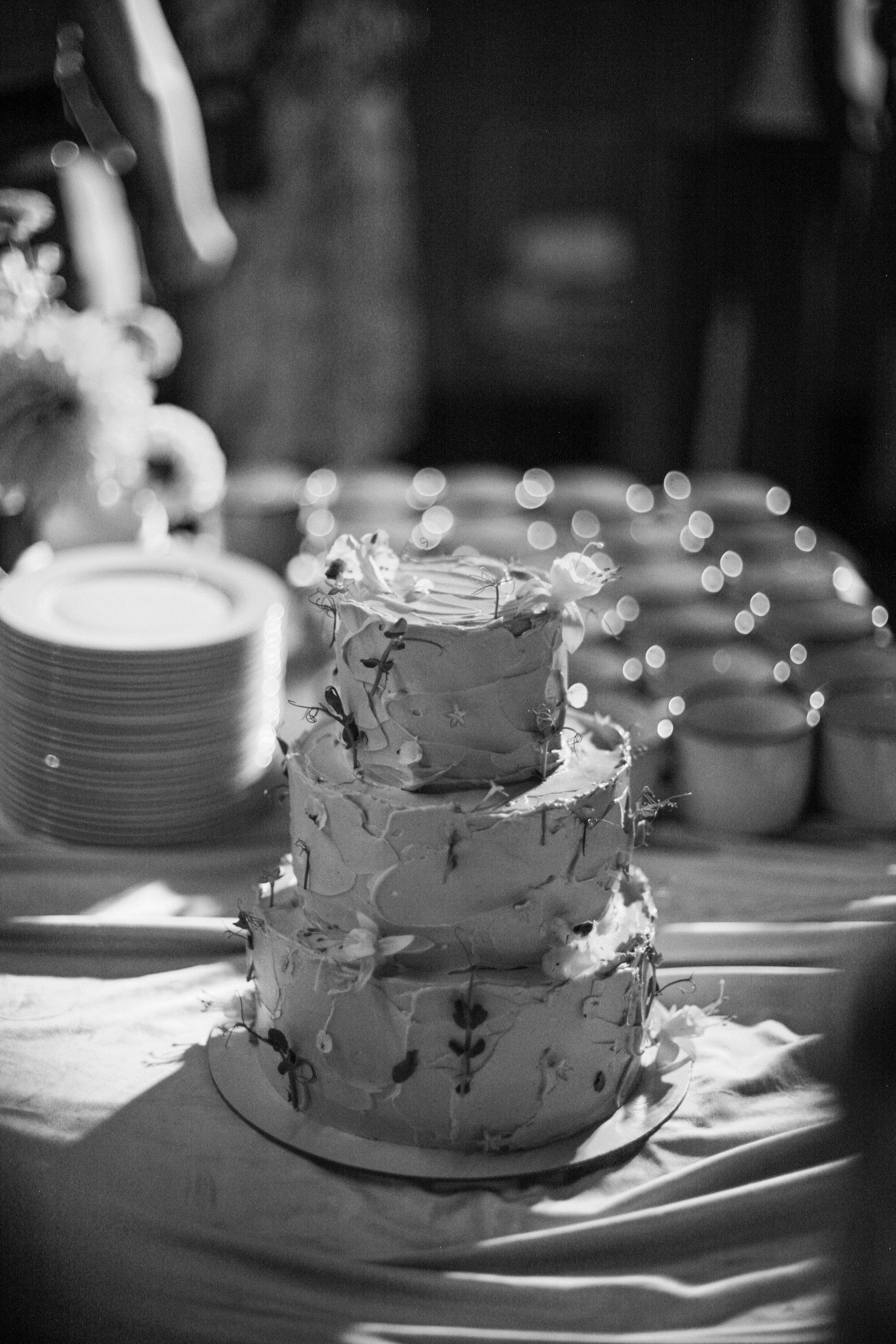 Аня и Кирилл (полный день с росписью). Фотограф Екатерина Максимова: семейные, индивидуальные съемки, свадьбы