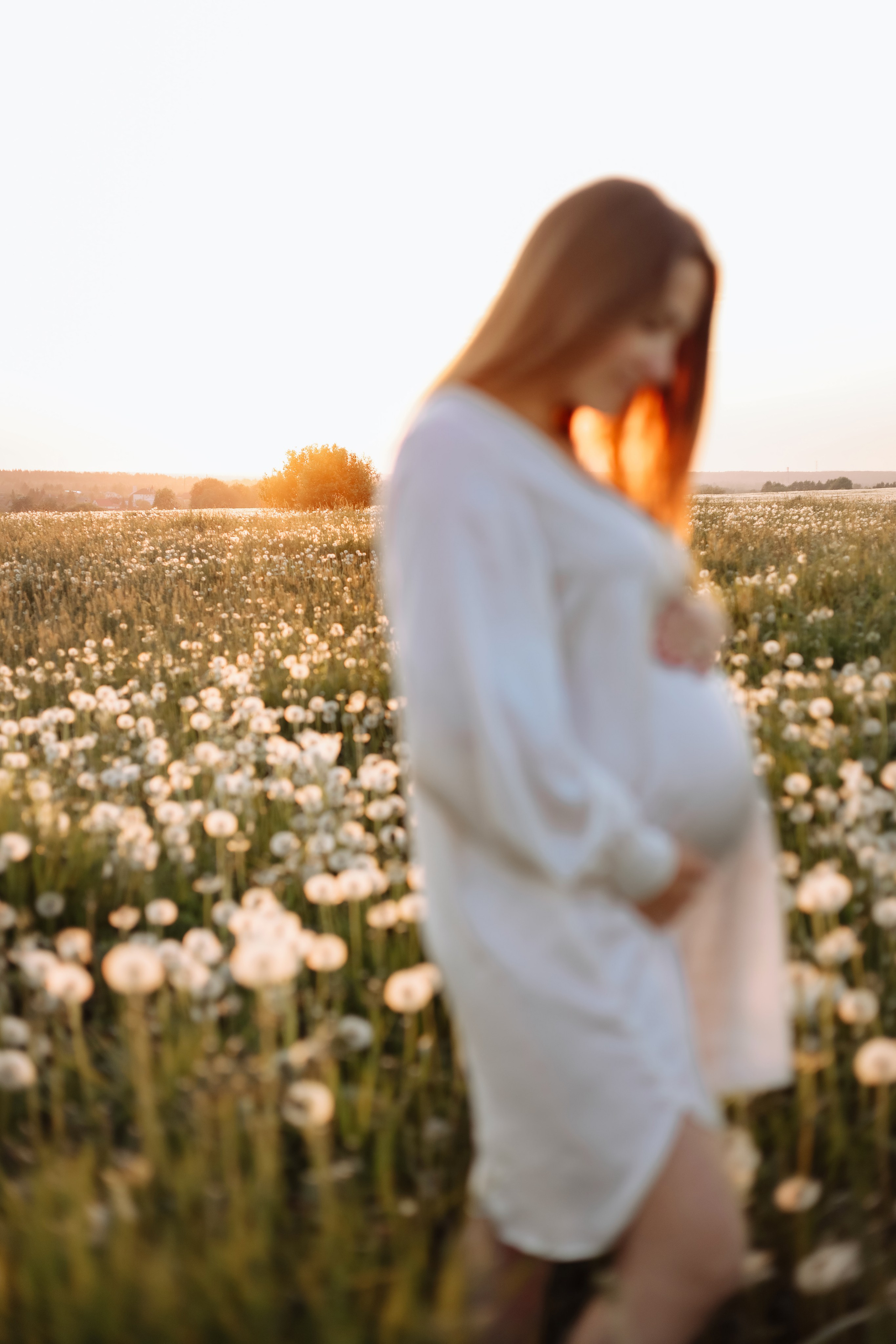 Закат. одуванчики. счастье. Фотограф в Санкт-Петербурге Знаменская Ирина