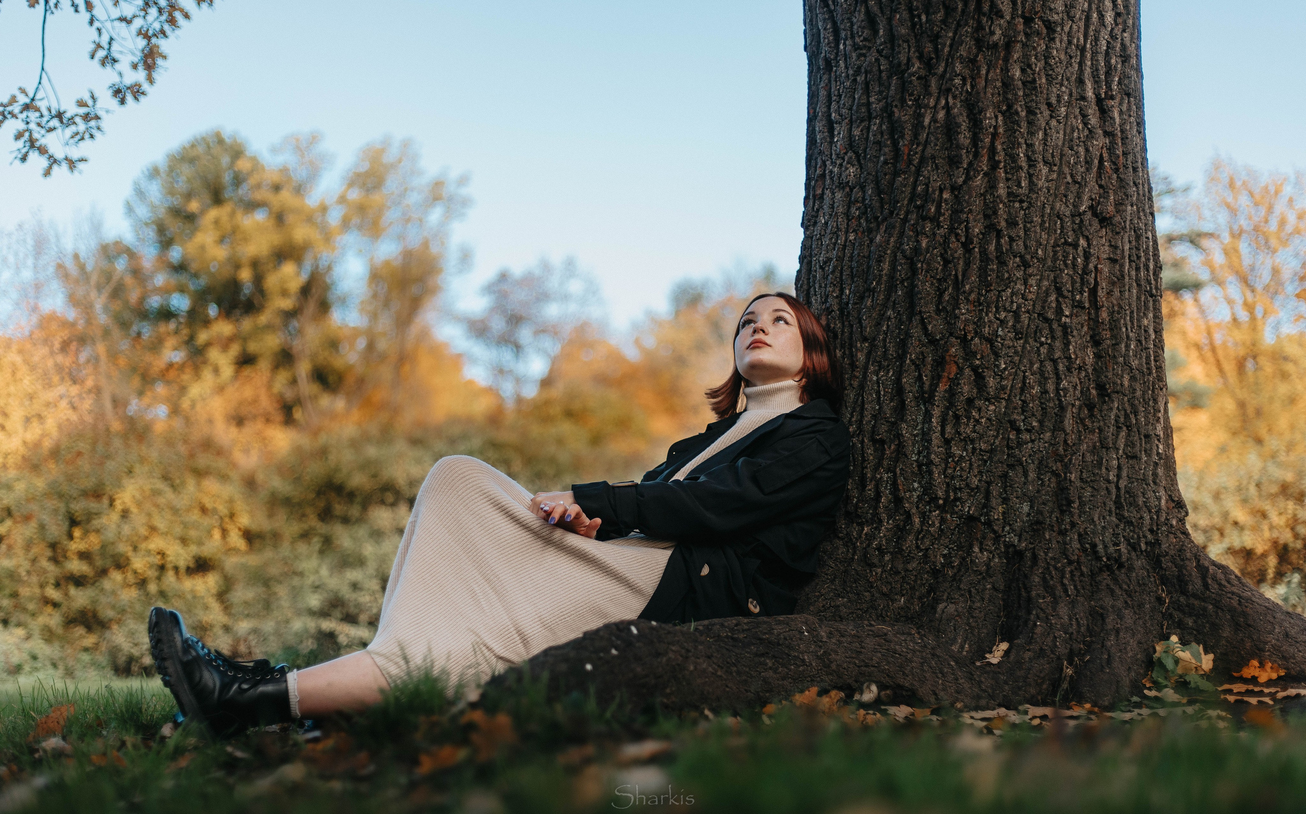 Света. Главная