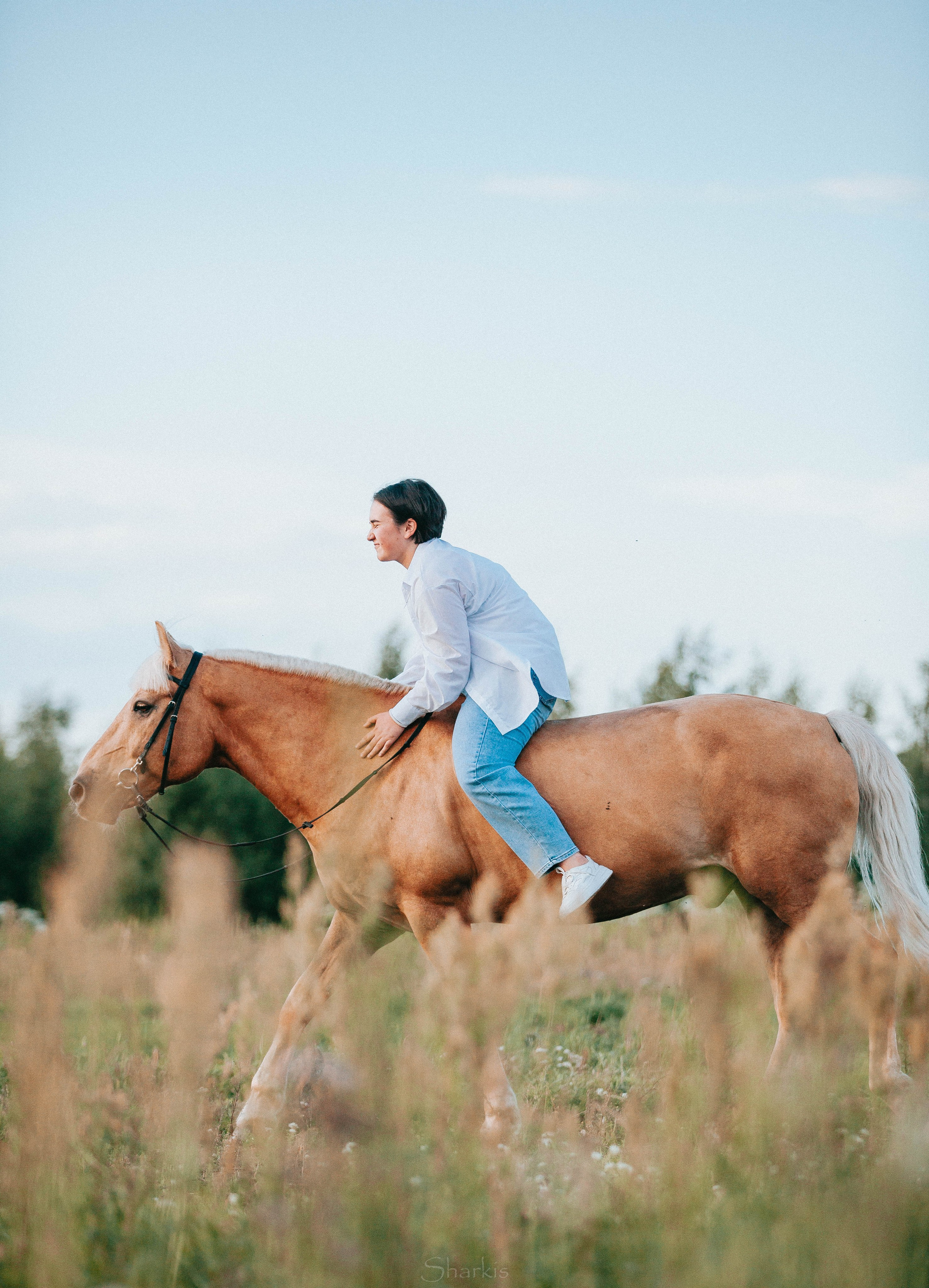 Алина и Гешефт. Главная