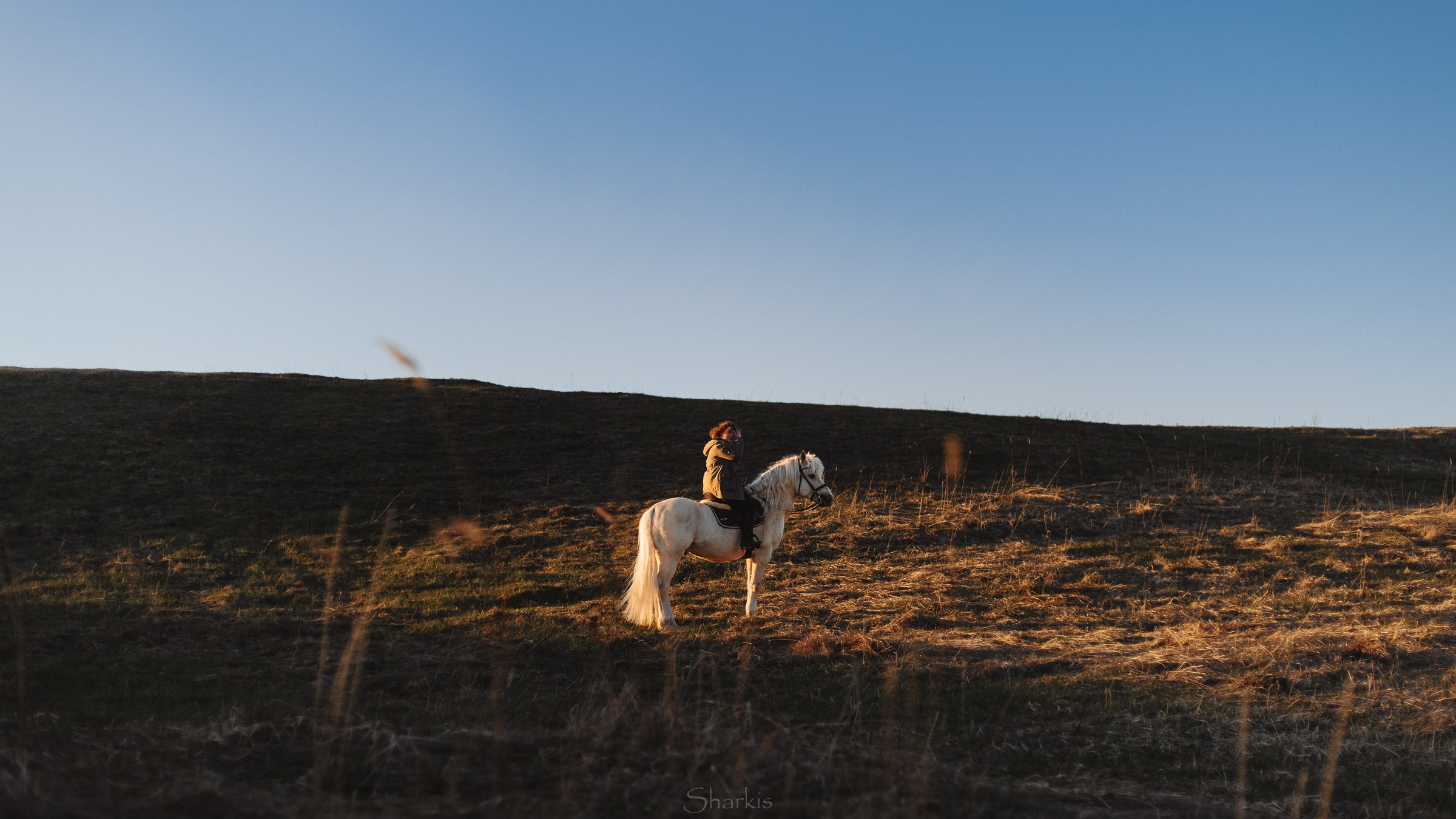 Катя и Гладиолус. Фотограф Елизавета Филатова