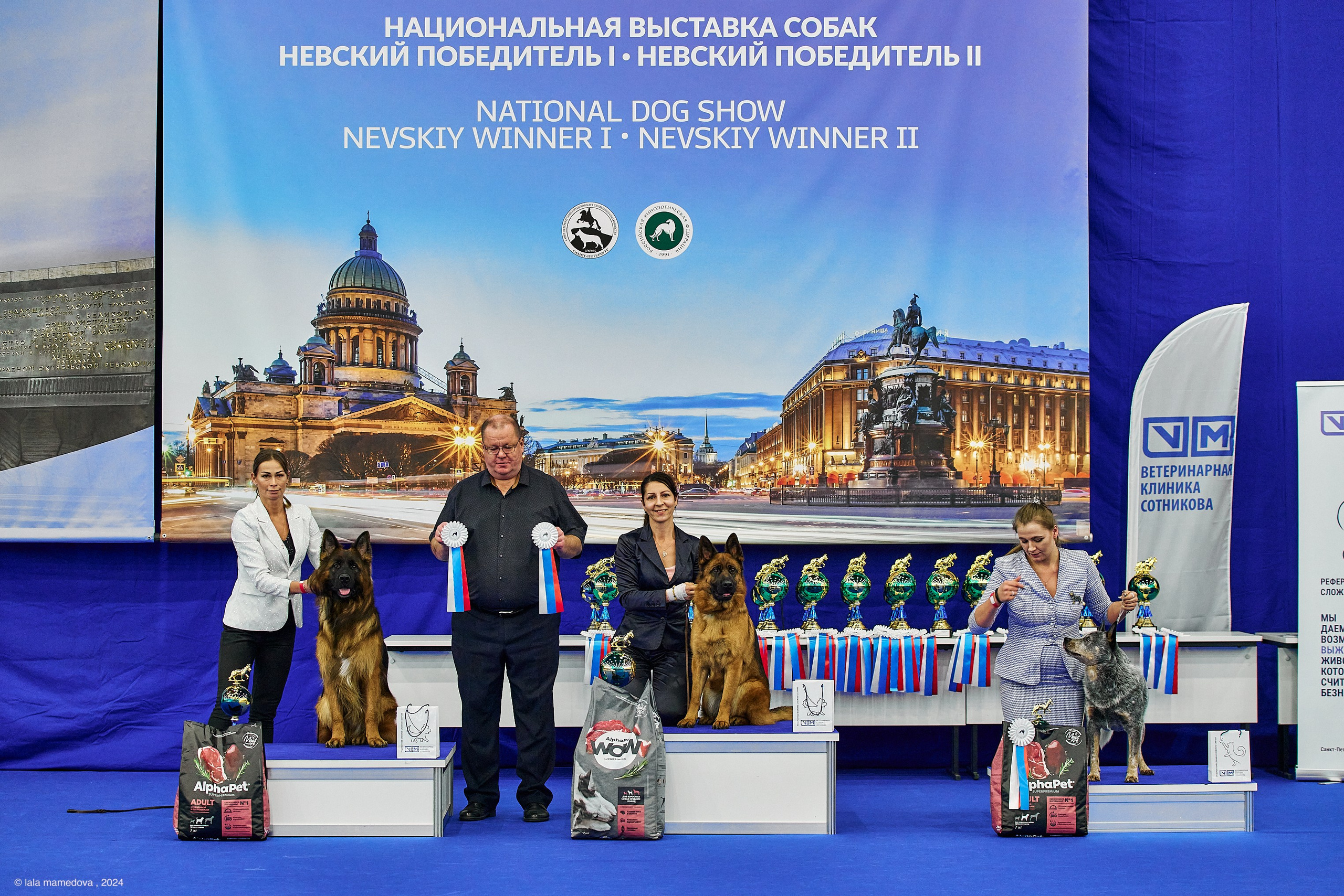РЕЙТИНГОВАЯ ВЫСТАВКА СОБАК ВСЕХ ПОРОД С ОСОБЫМ СТАТУСОМ"НЕВСКИЙ ПОБЕДИТЕЛЬ-2024-2"