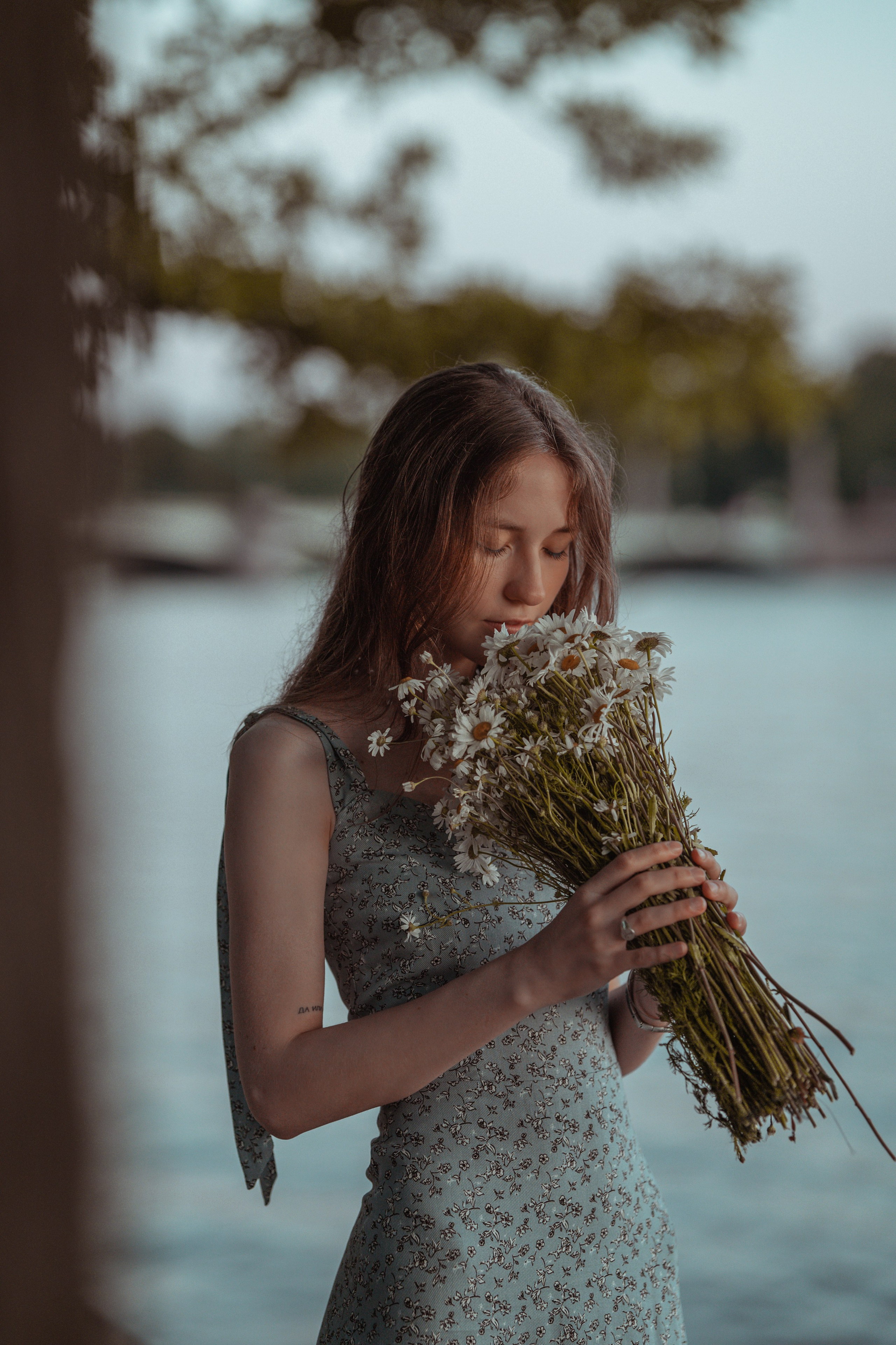 #Белые ночи. Рассвет в Лопухинском саду. Главная