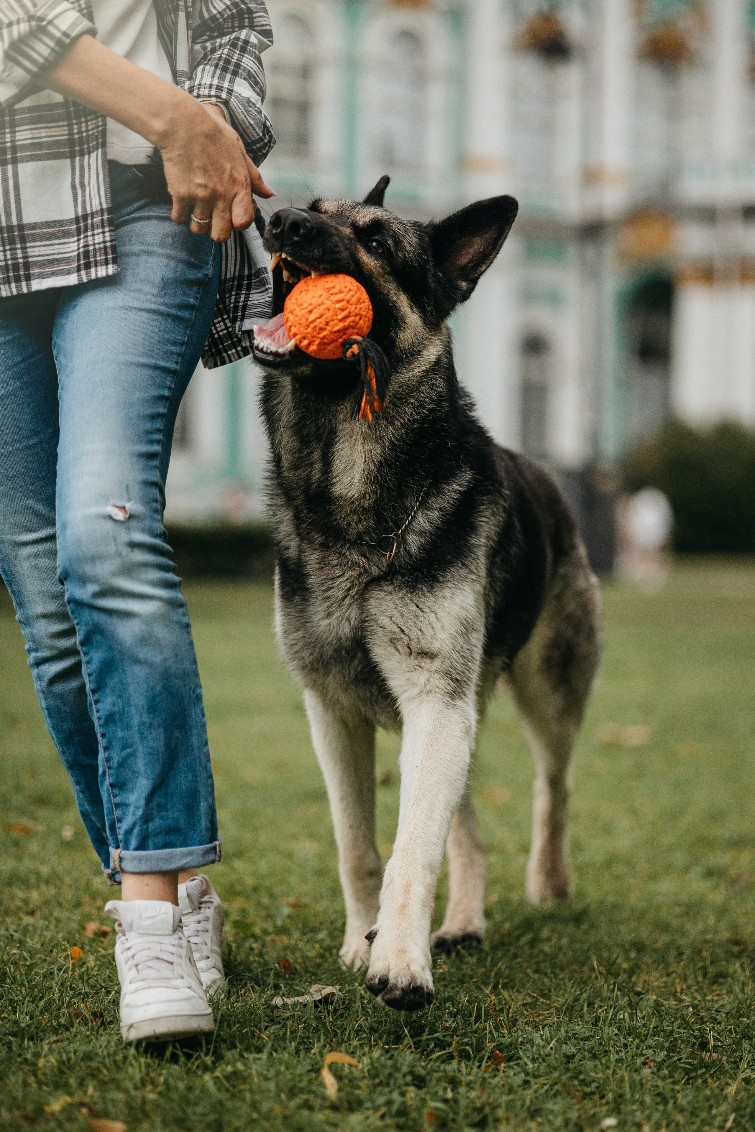 Рей и Ксения. Фотограф — Анималист | Санкт-Петербург