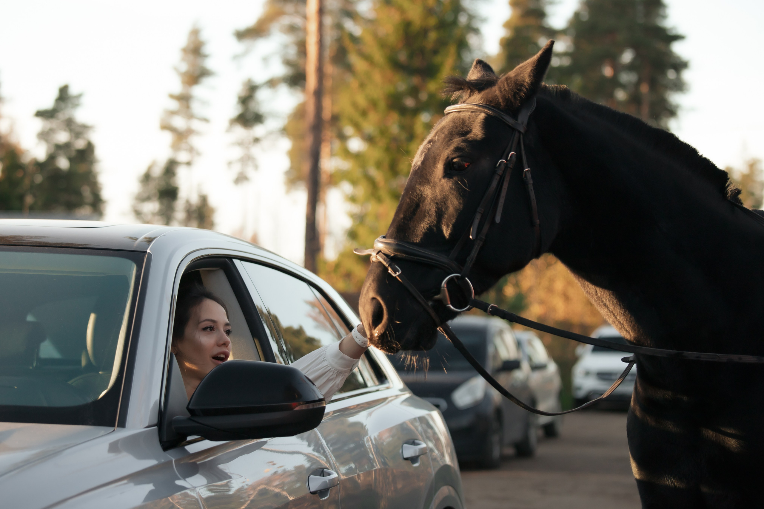 Художественные фотосессии. Конный фотограф в Санкт-Петербурге Анна Лебедева