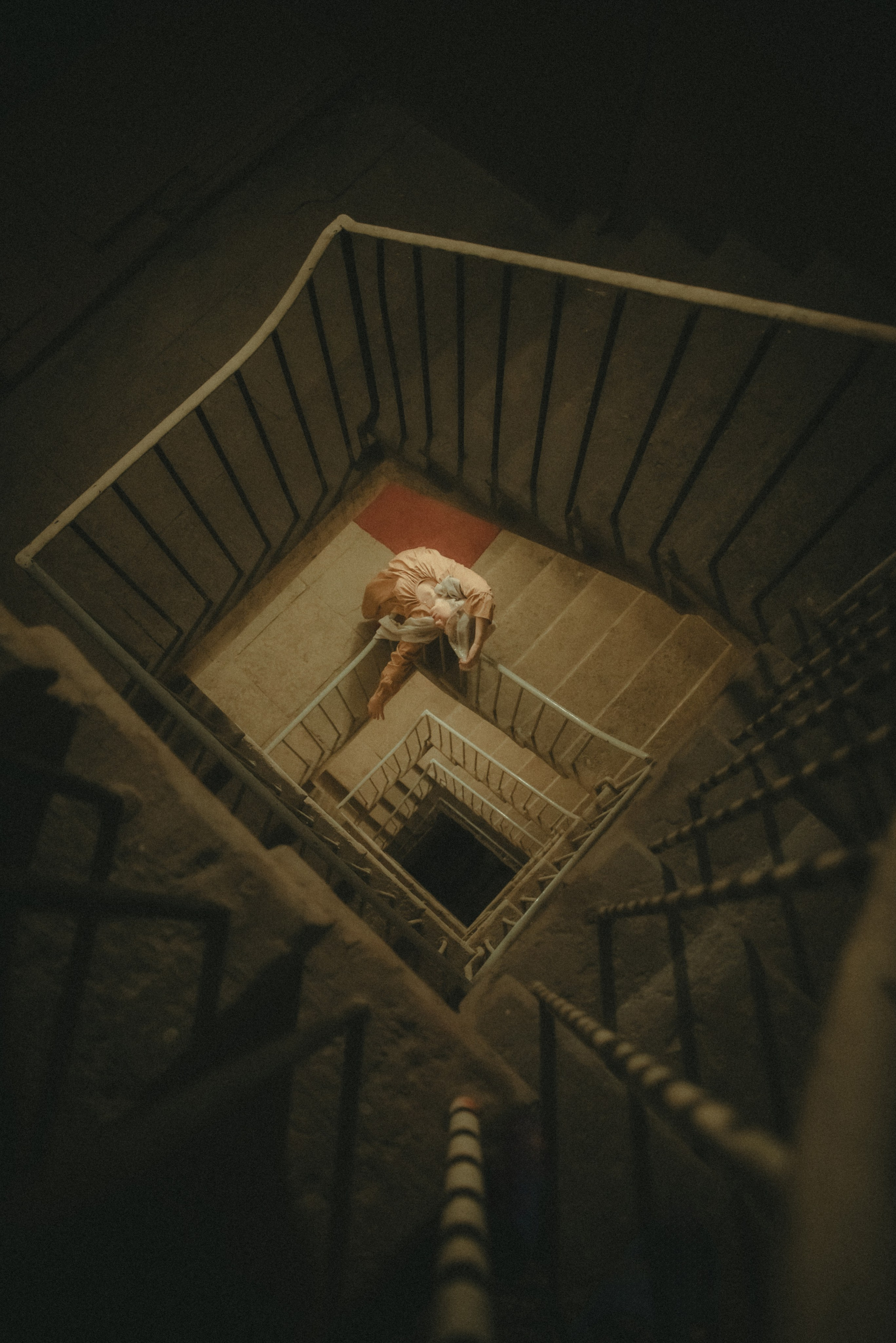 Стрекоза. Фотограф Крещение Венчание Москва