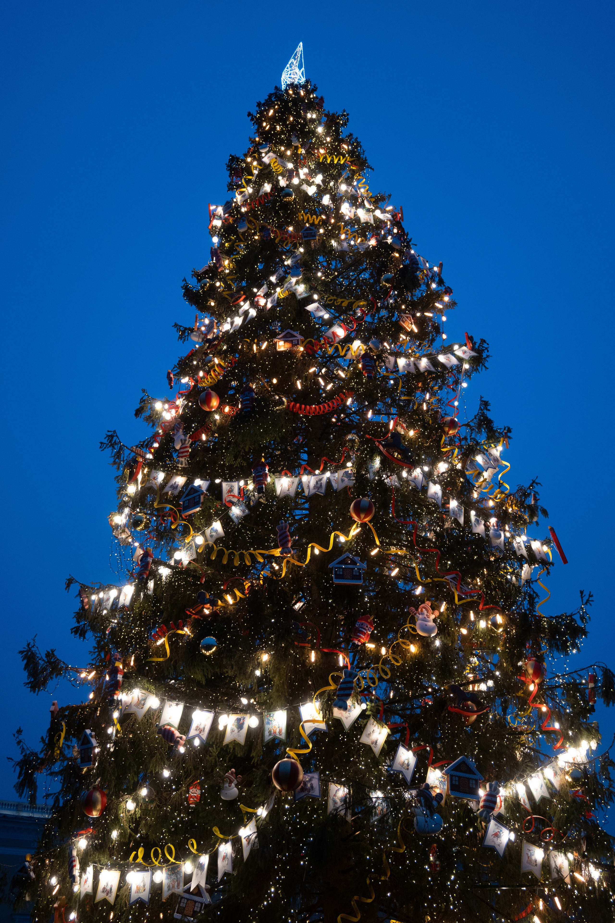 Зима. Фотограф и видеограф в Москве Анна Матюхина