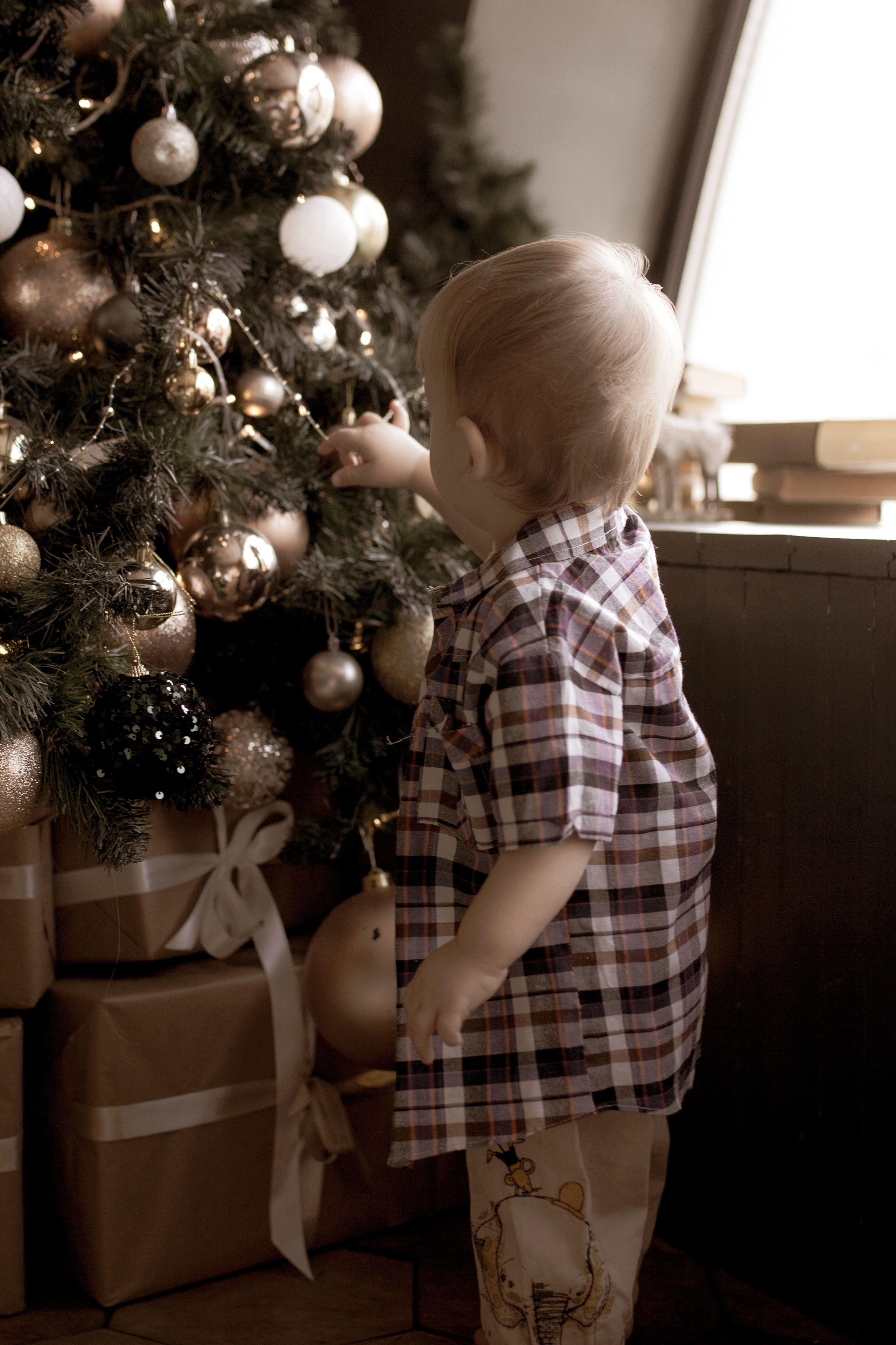 Лев. Ксения Гордеева — семейный и портретный фотограф в Серпухове