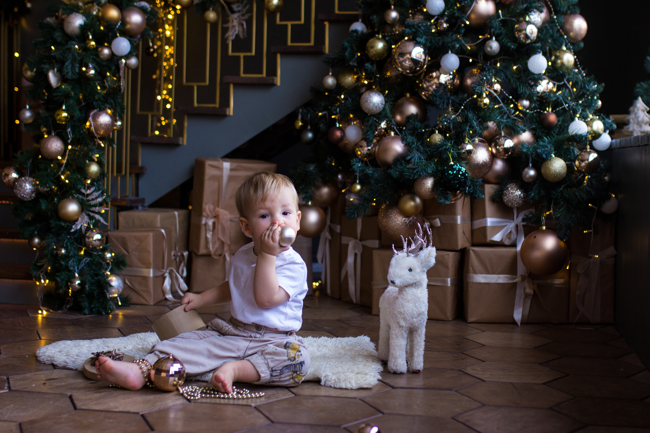 Лев. Ксения Гордеева — семейный и портретный фотограф в Серпухове