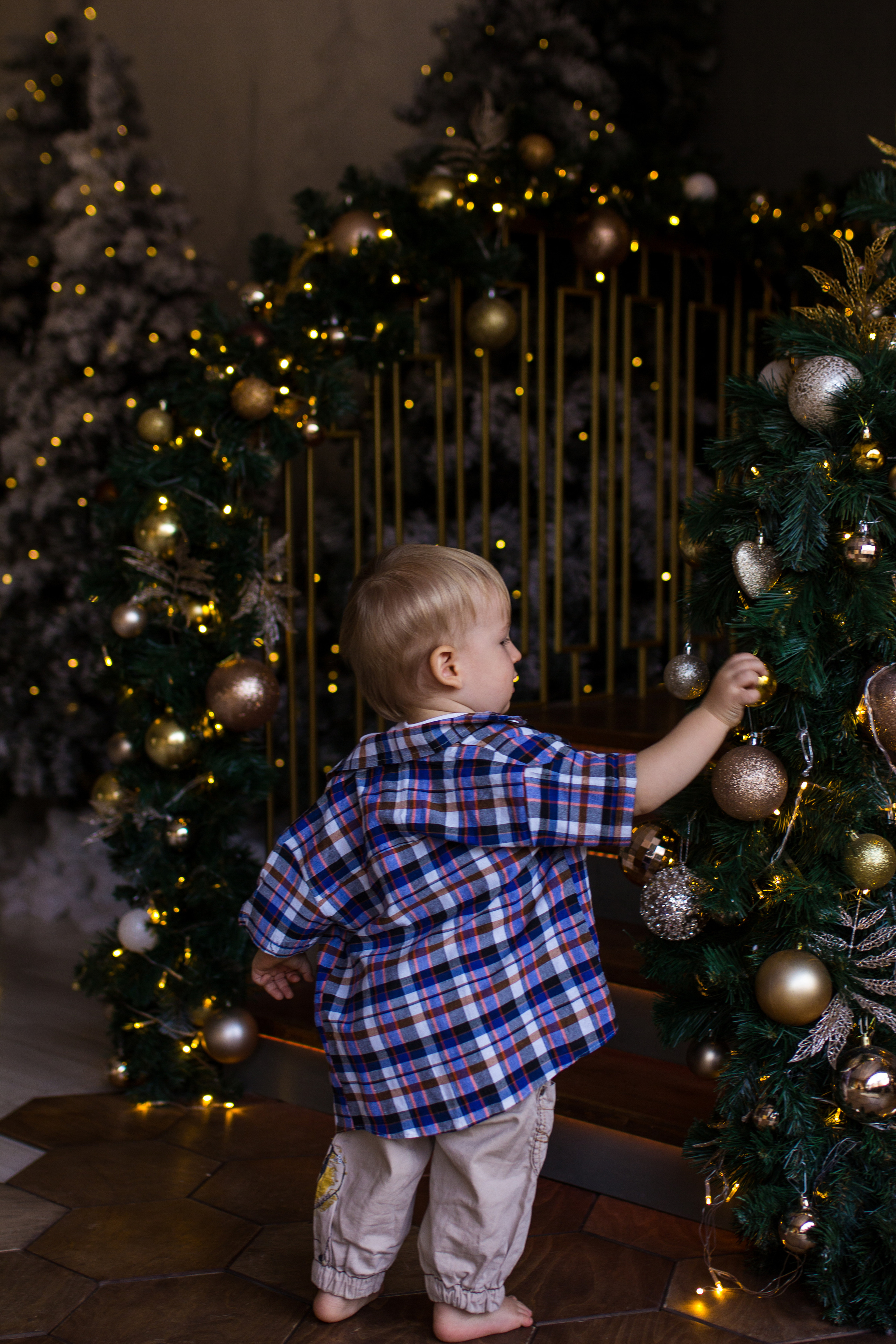 Лев. Ксения Гордеева — семейный и портретный фотограф в Серпухове