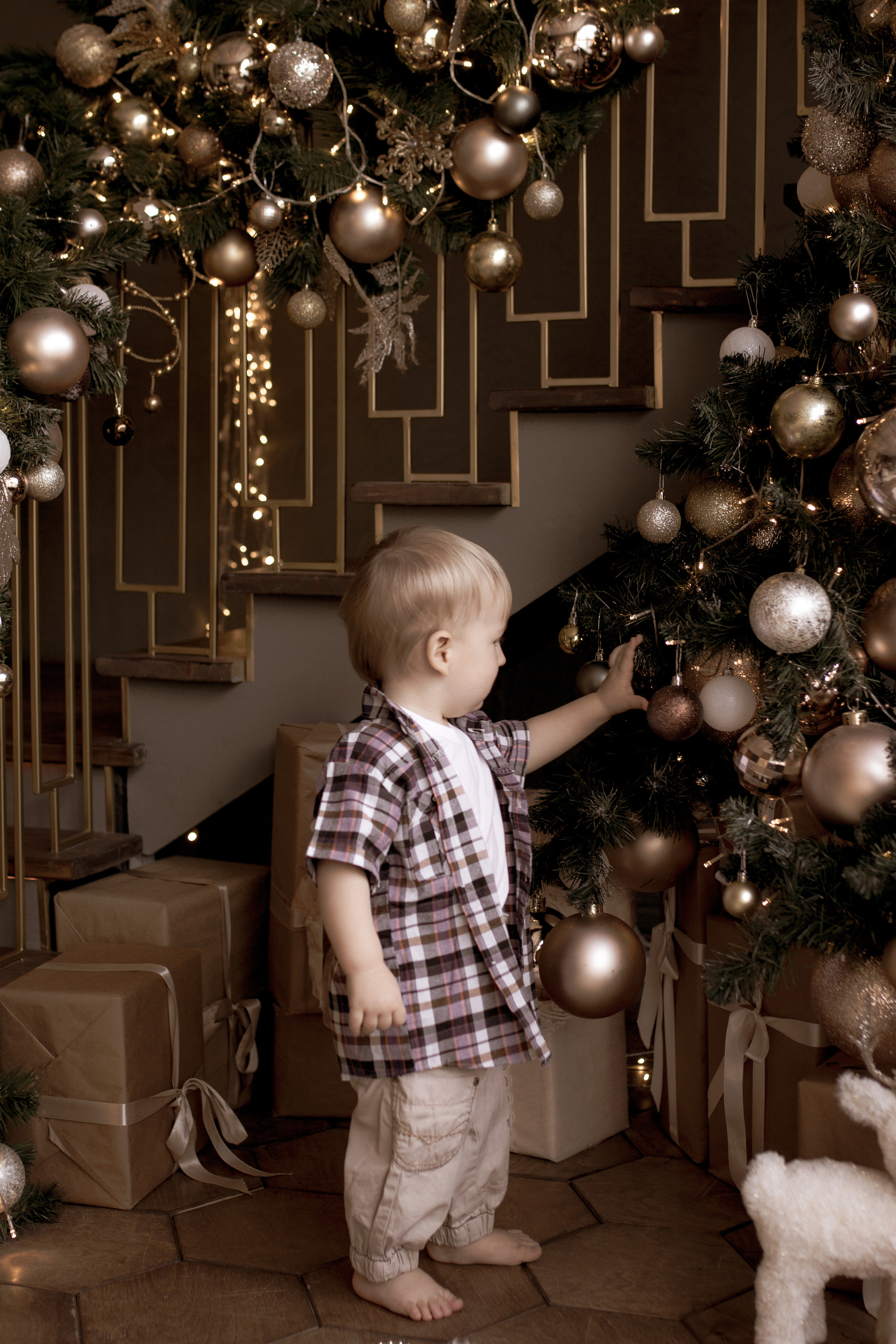 Лев. Ксения Гордеева — семейный и портретный фотограф в Серпухове