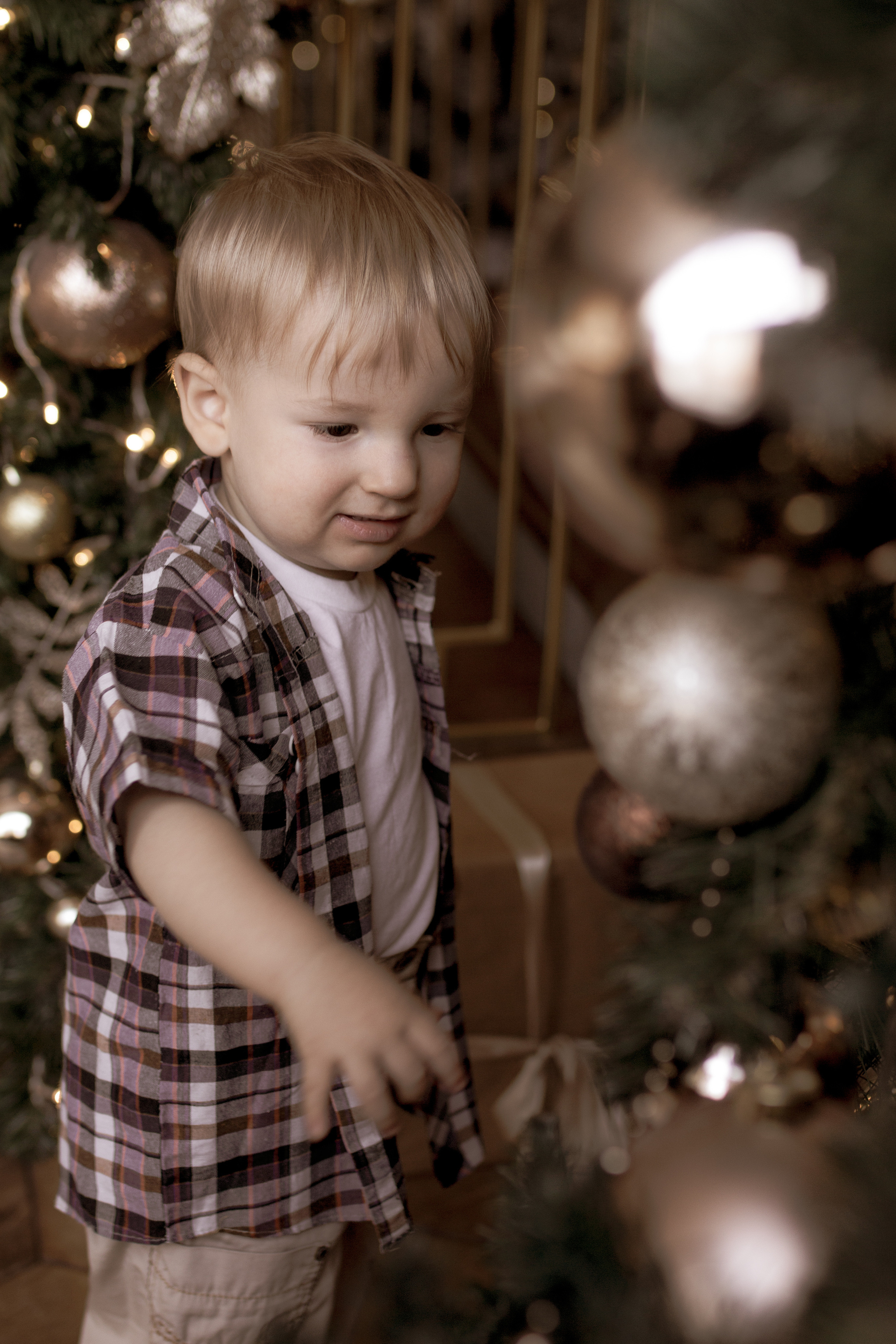Лев. Ксения Гордеева — семейный и портретный фотограф в Серпухове