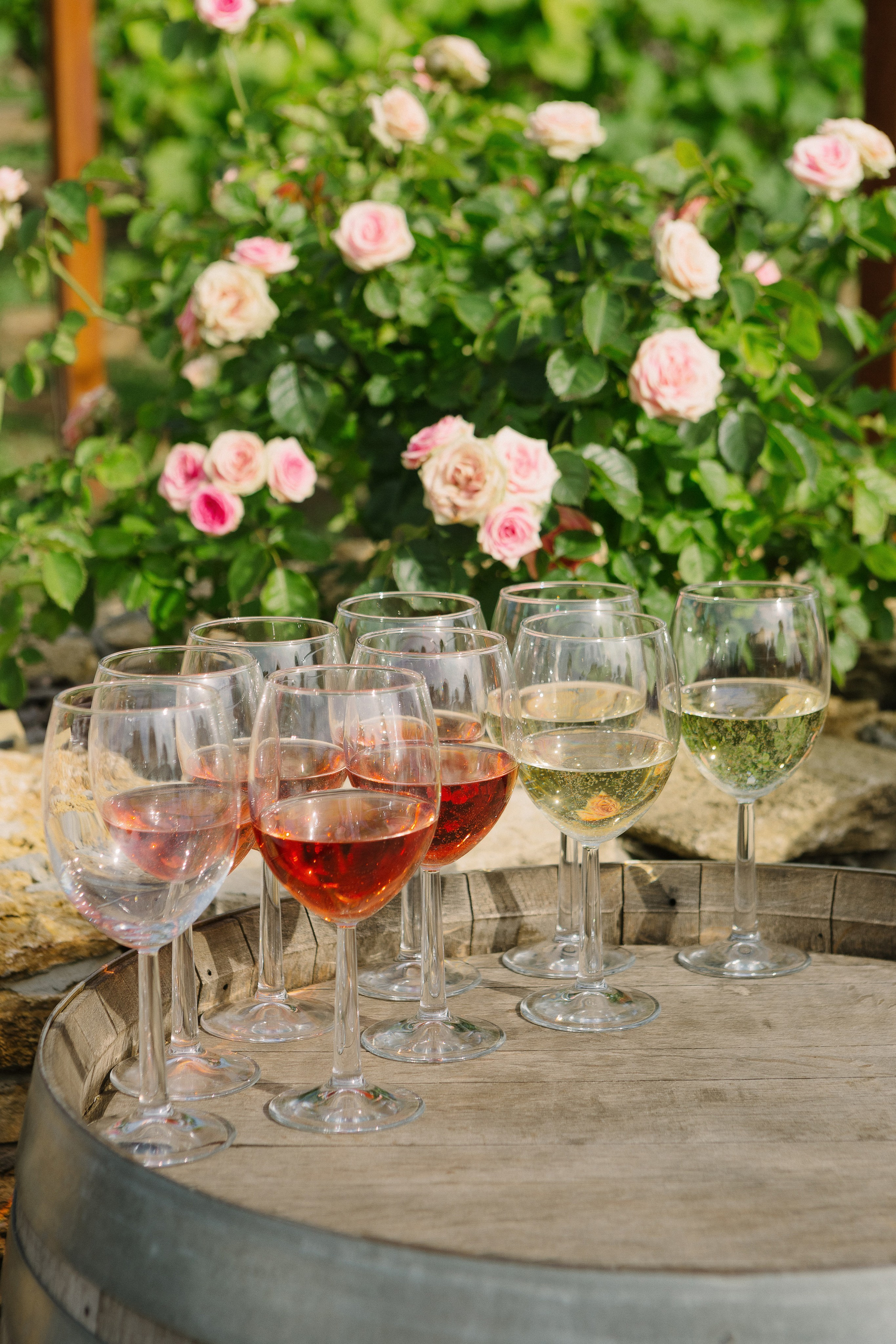 Свадебный и семейный фотограф в Таганроге Бакарюк Антон