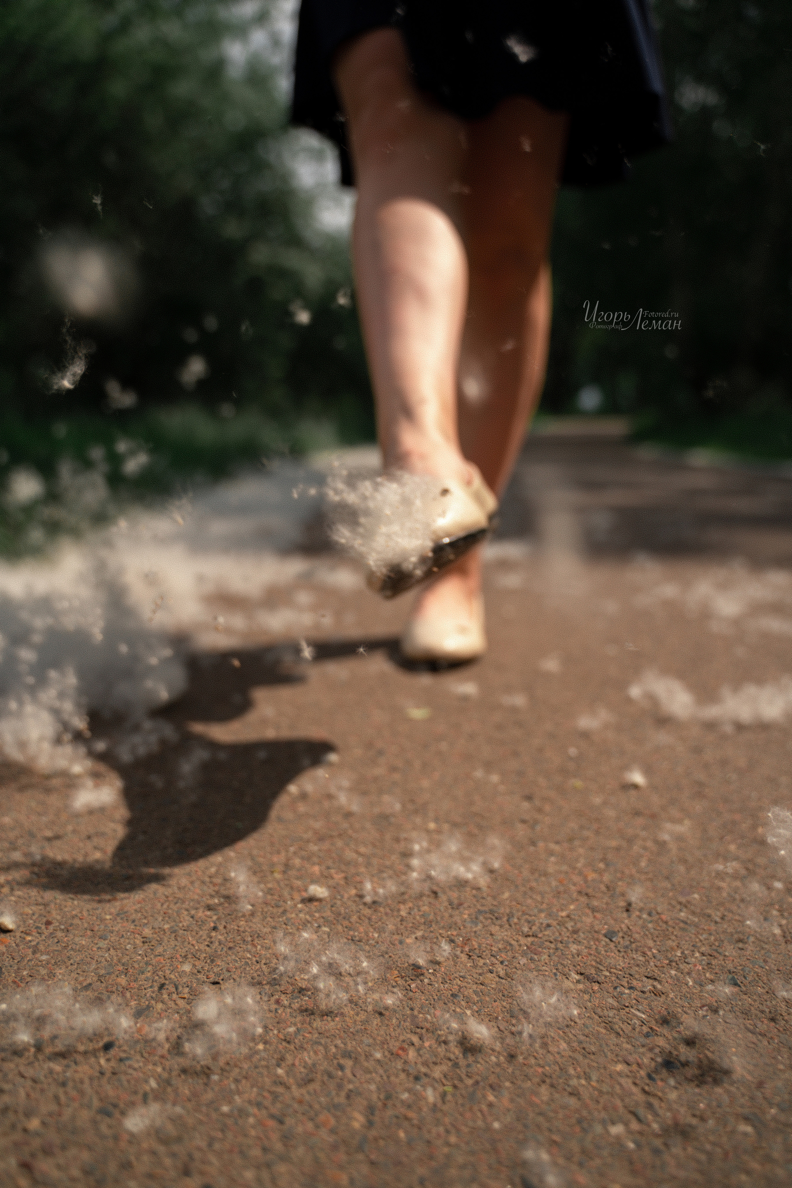 Скейт. Свадебный и семейный фотограф Калининград Зеленоградск Светлогорск Леман Игорь