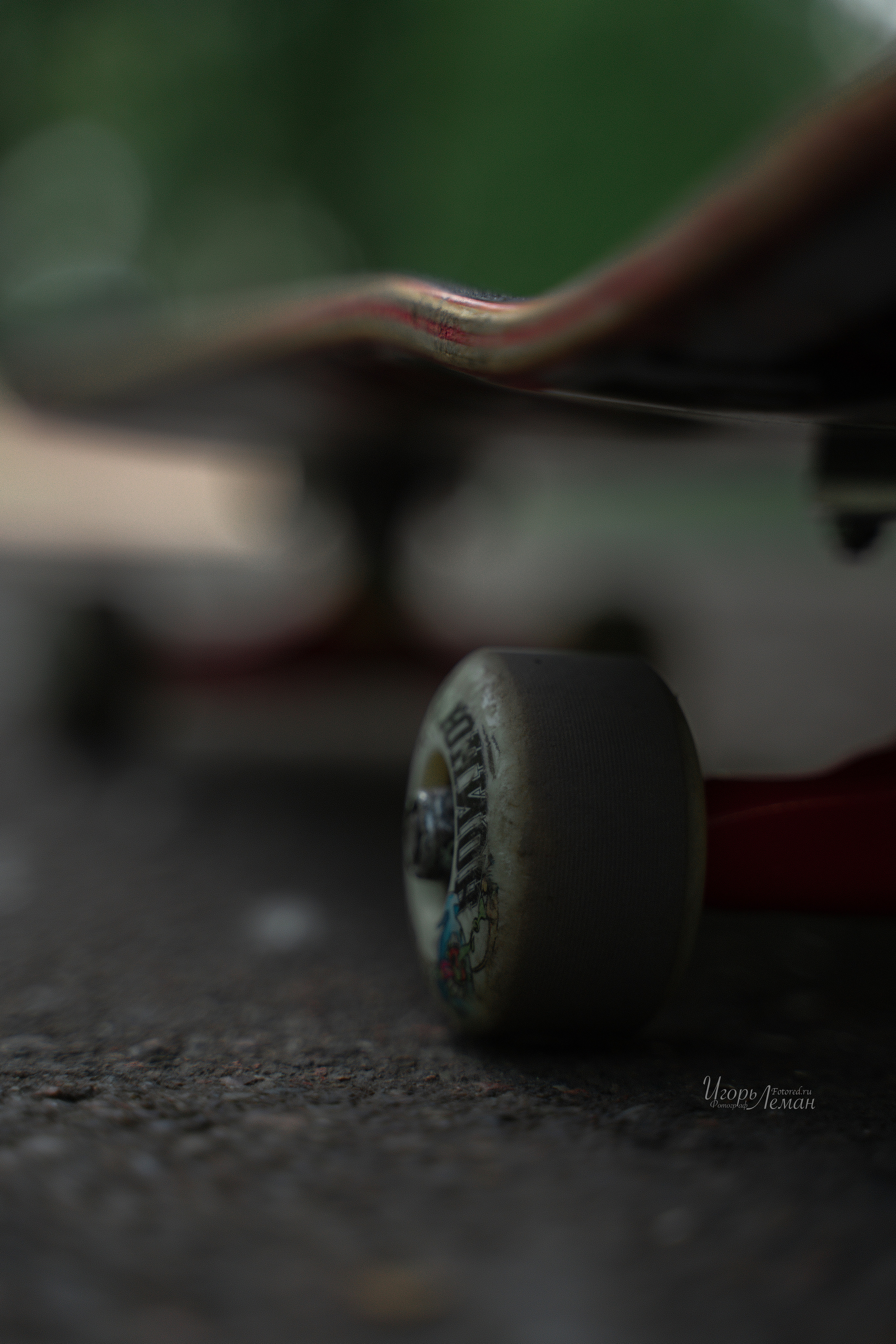 Скейт. Свадебный и семейный фотограф Калининград Зеленоградск Светлогорск Леман Игорь