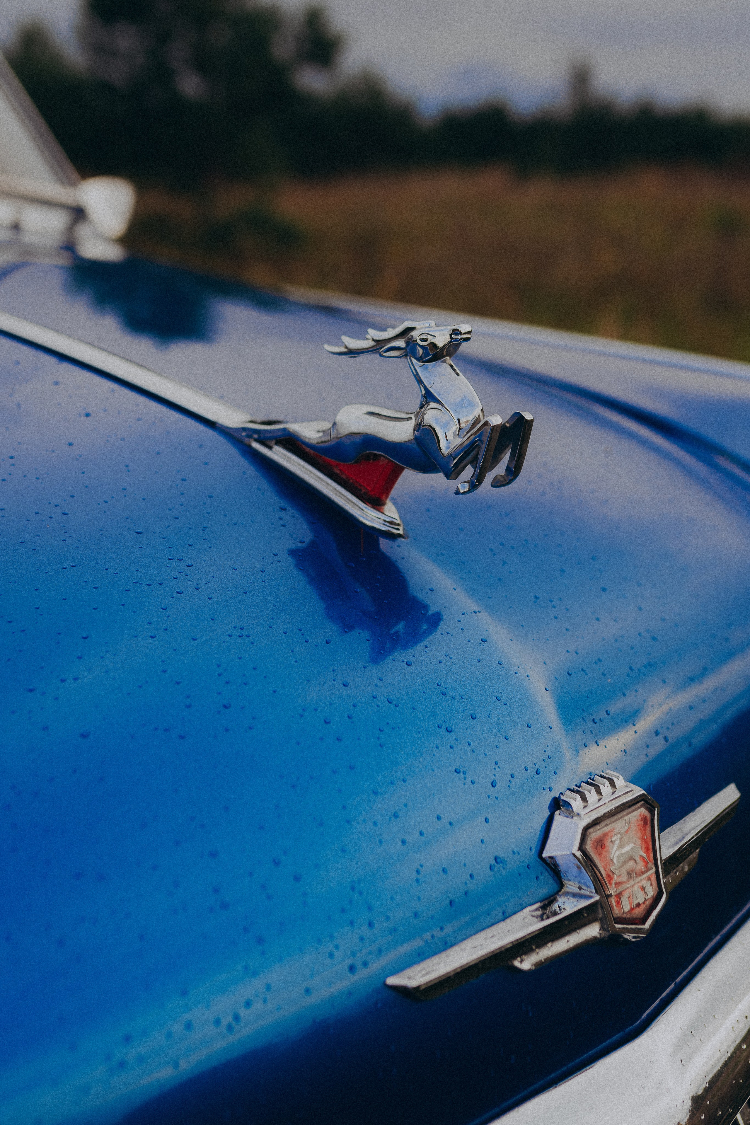 Волга. Фотограф Торопец Кристина Абрамова Kanwellia photography