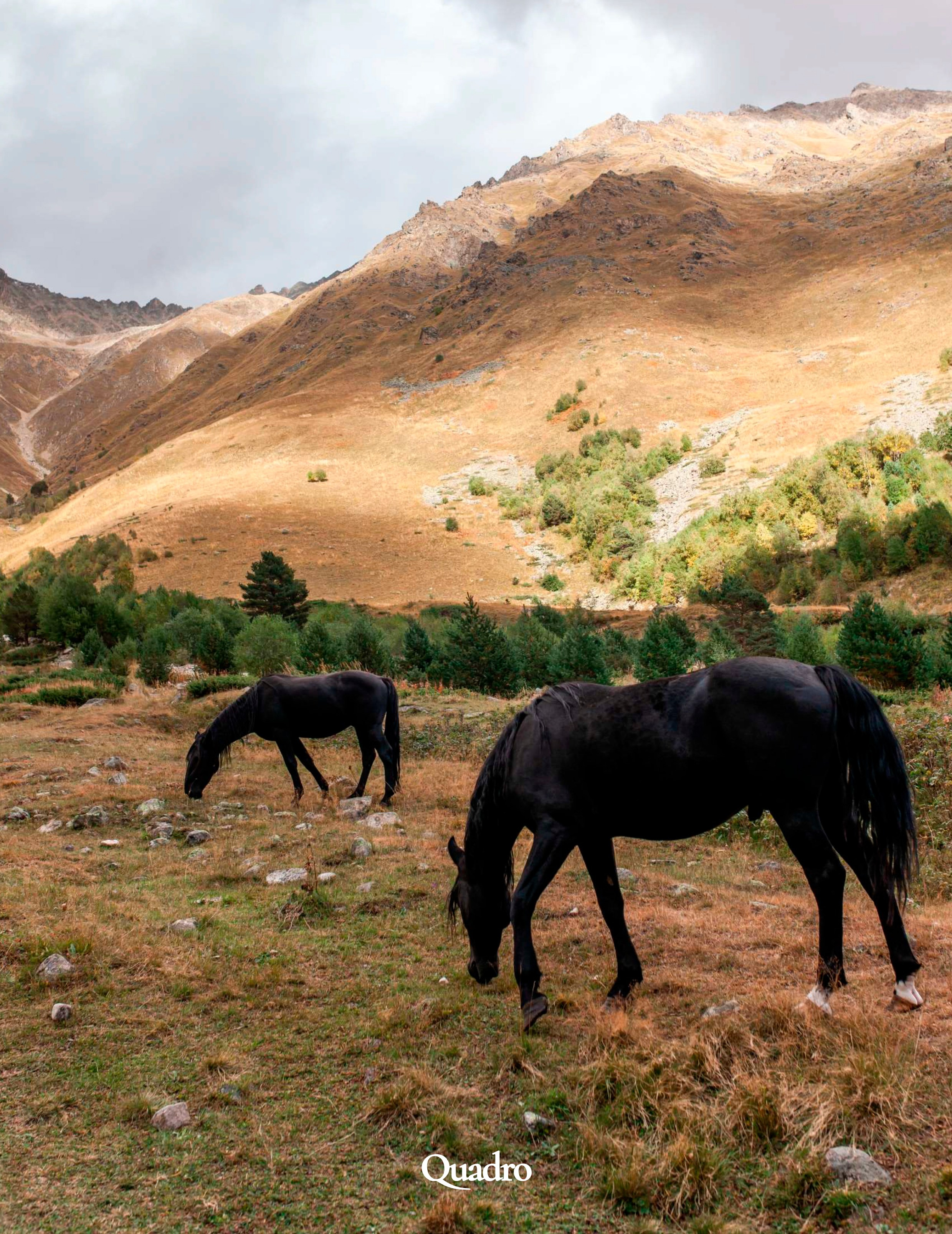 QUADRO Italy 2023 / SEPT. Мобильный загородный фотограф в СПб и Ленинградской области. Портретны