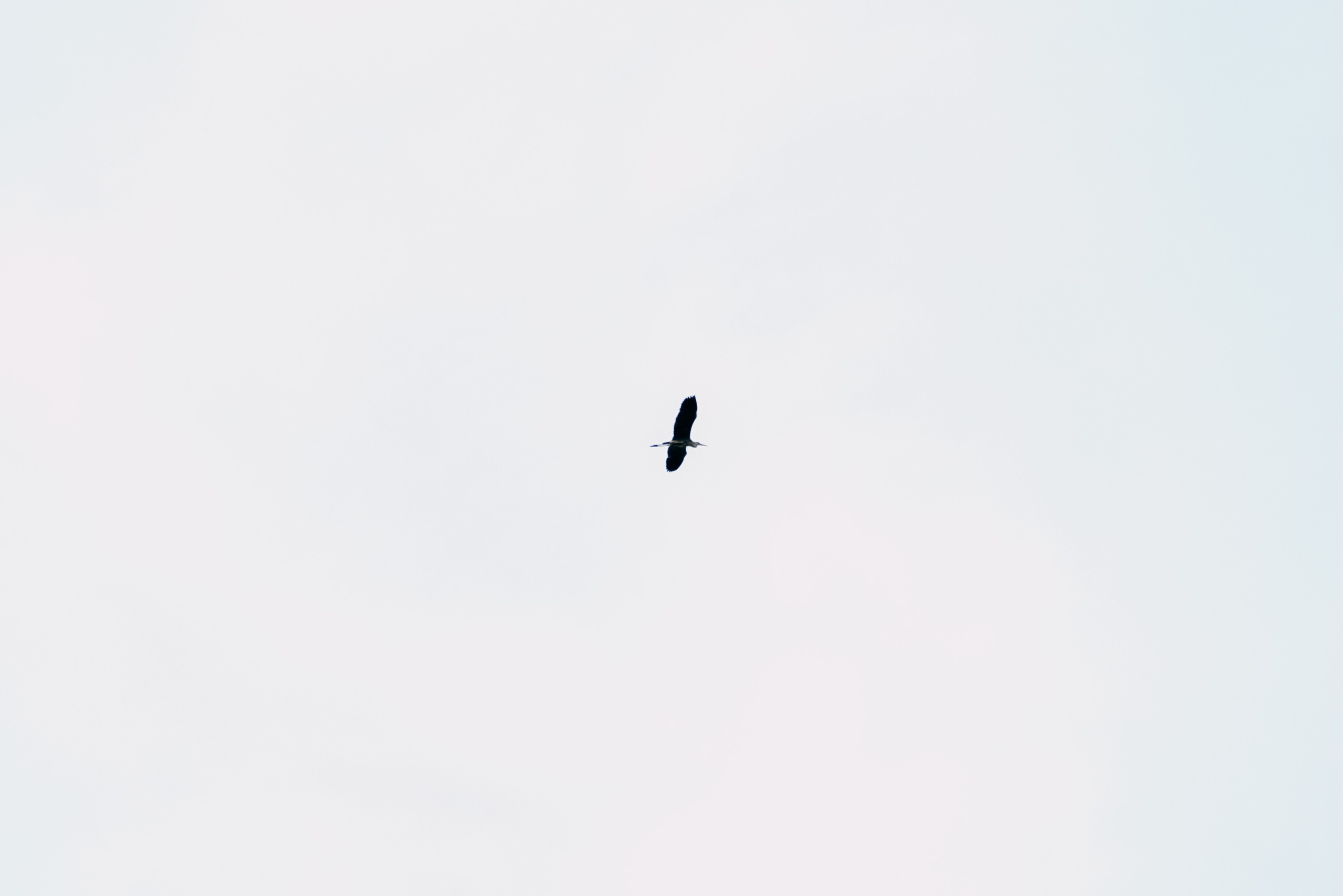 Аня & Андрей. Фотограф и преподаватель по фотографии в Воронеже Олеся Микерова