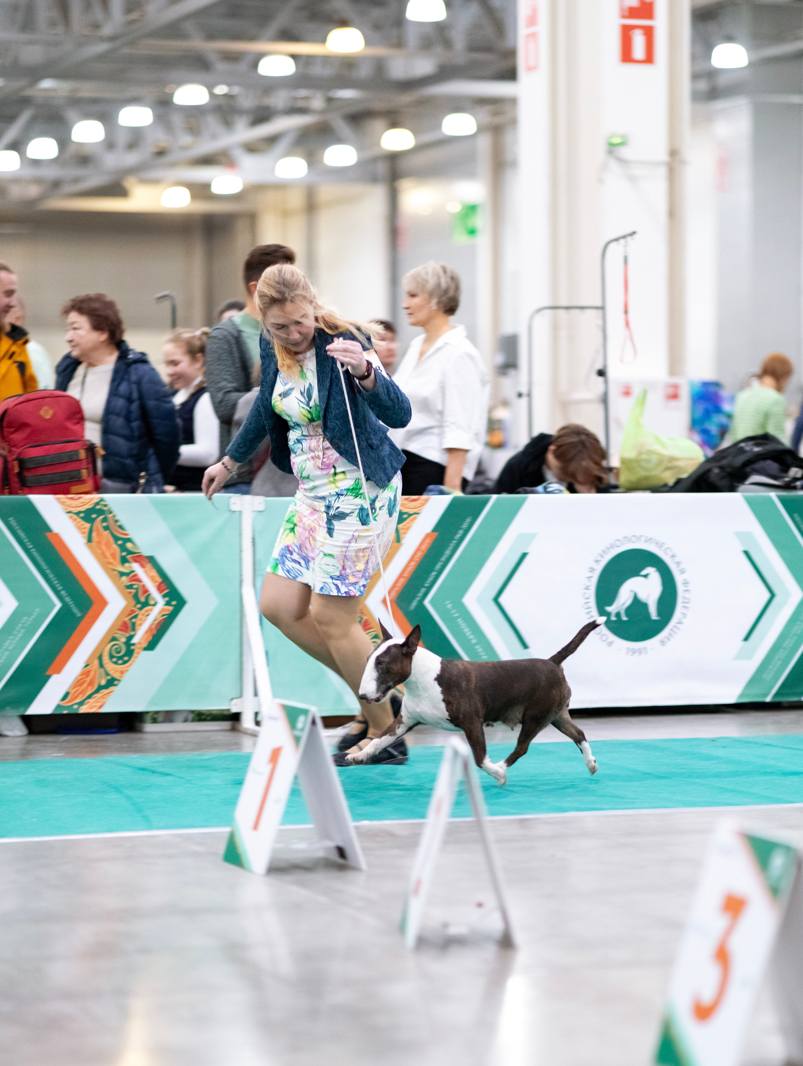 Евразия. Фотограф — анималист Татьяна Ли